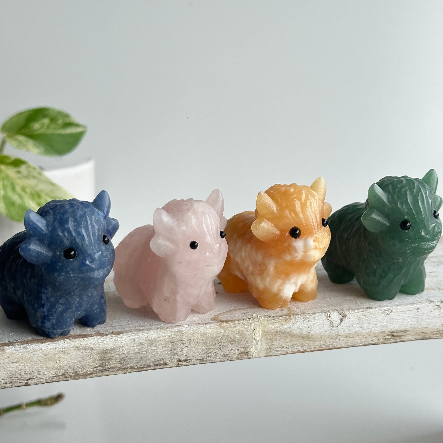 Highland Cow Assorted