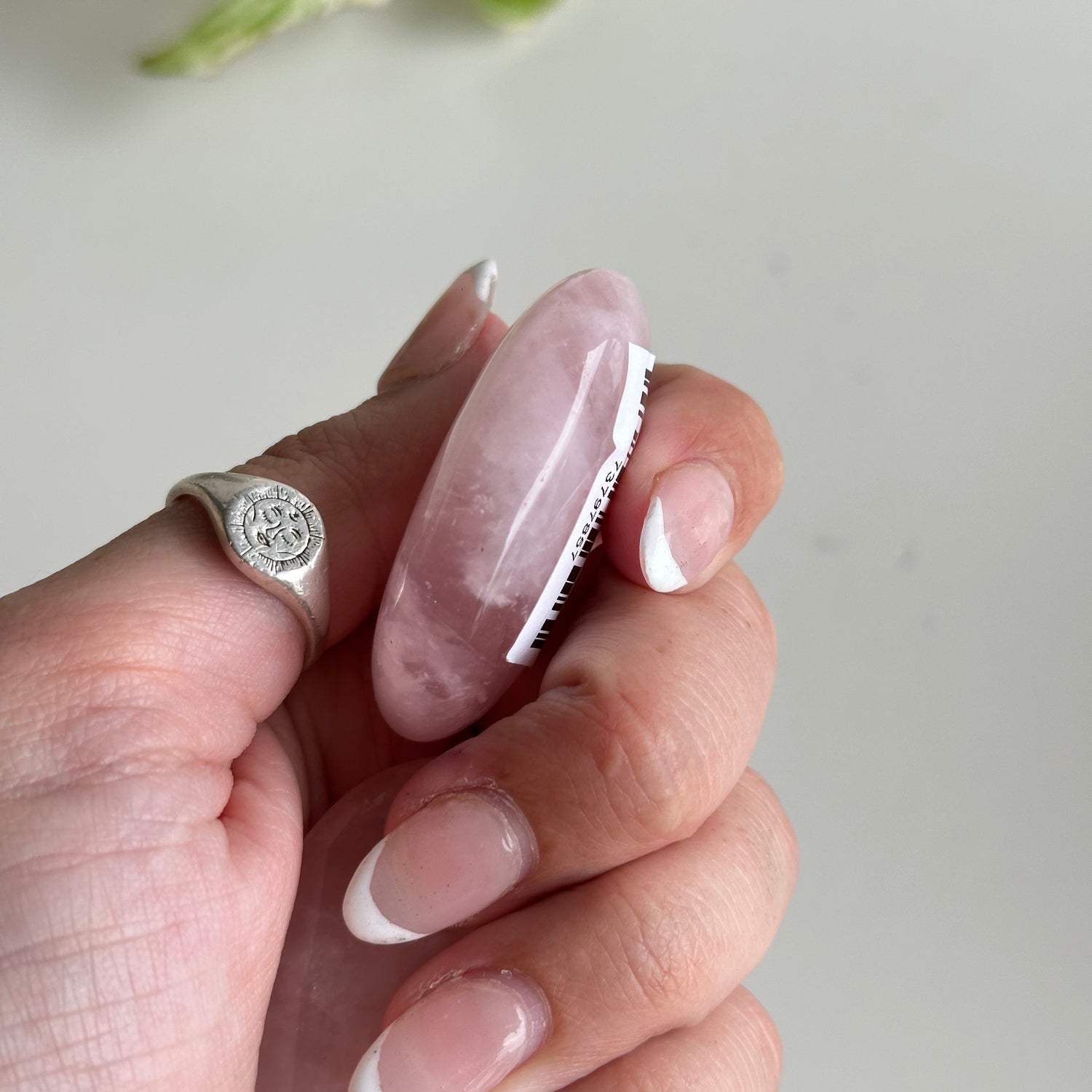 Rose Quartz Small Palmstone