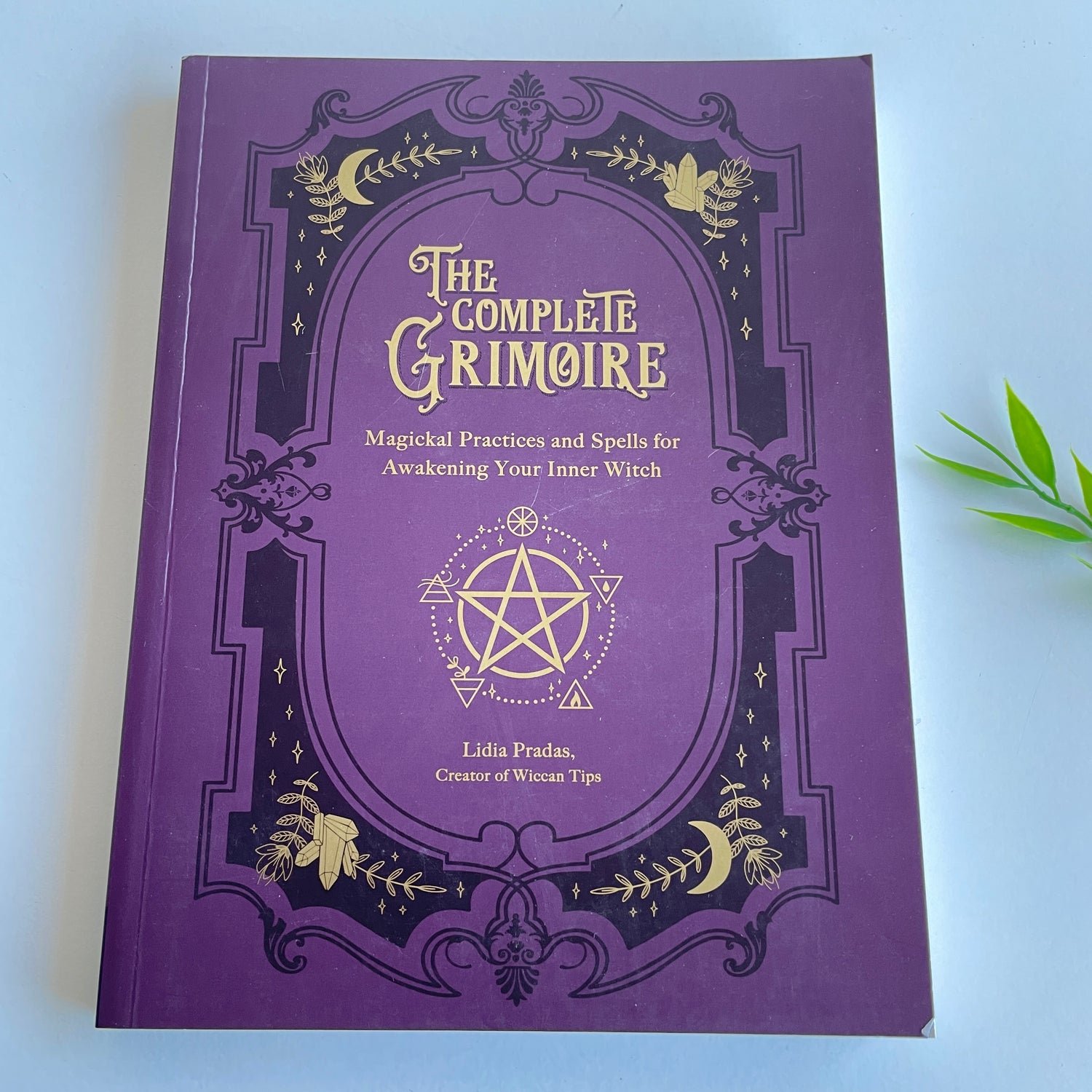 The Complete Grimoire Lidia Pradas
