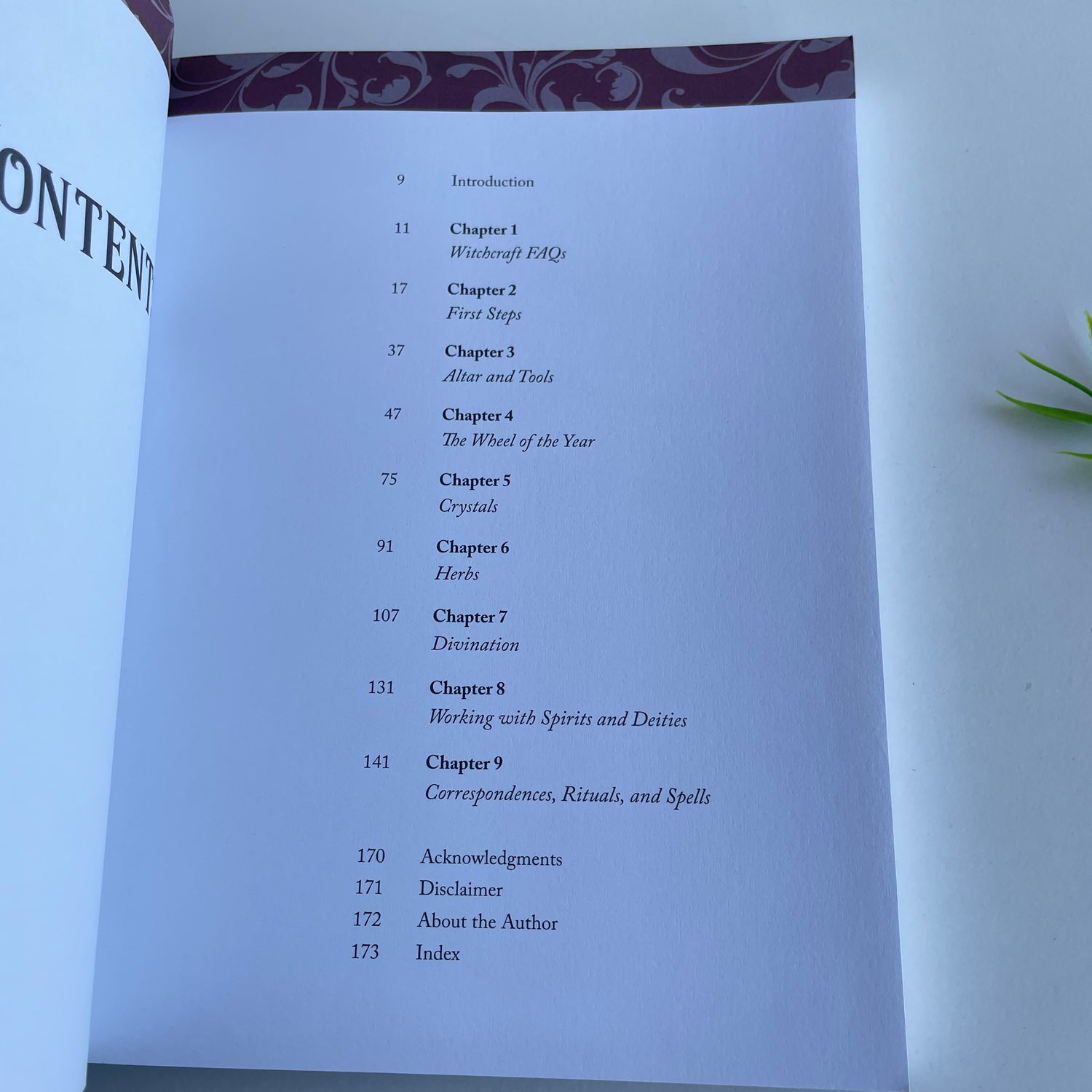 The Complete Grimoire Lidia Pradas