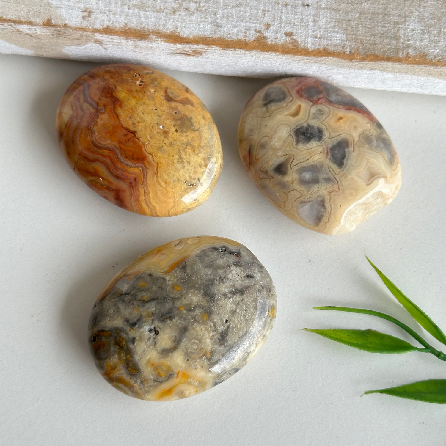 Crazy Lace Agate Small Palmstone