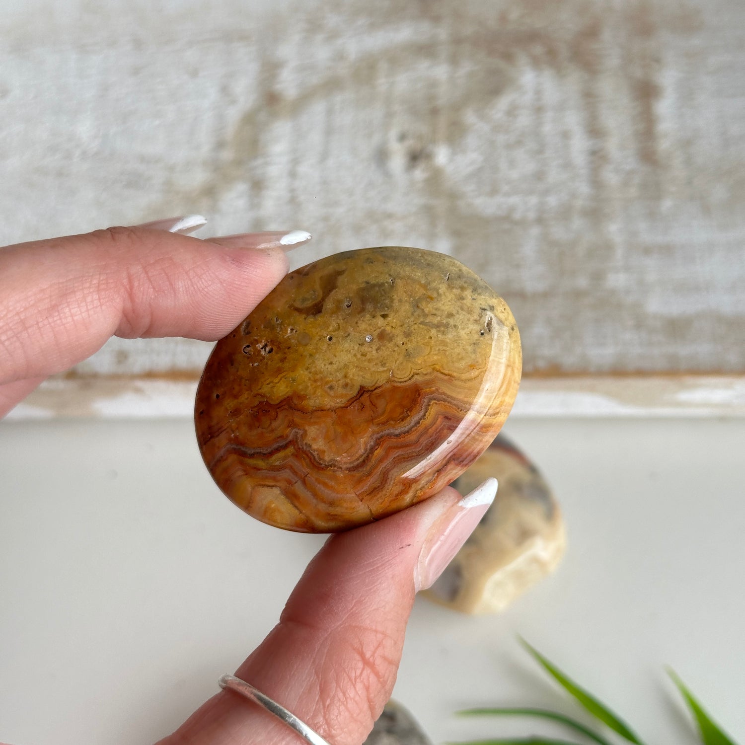 Crazy Lace Agate Small Palmstone