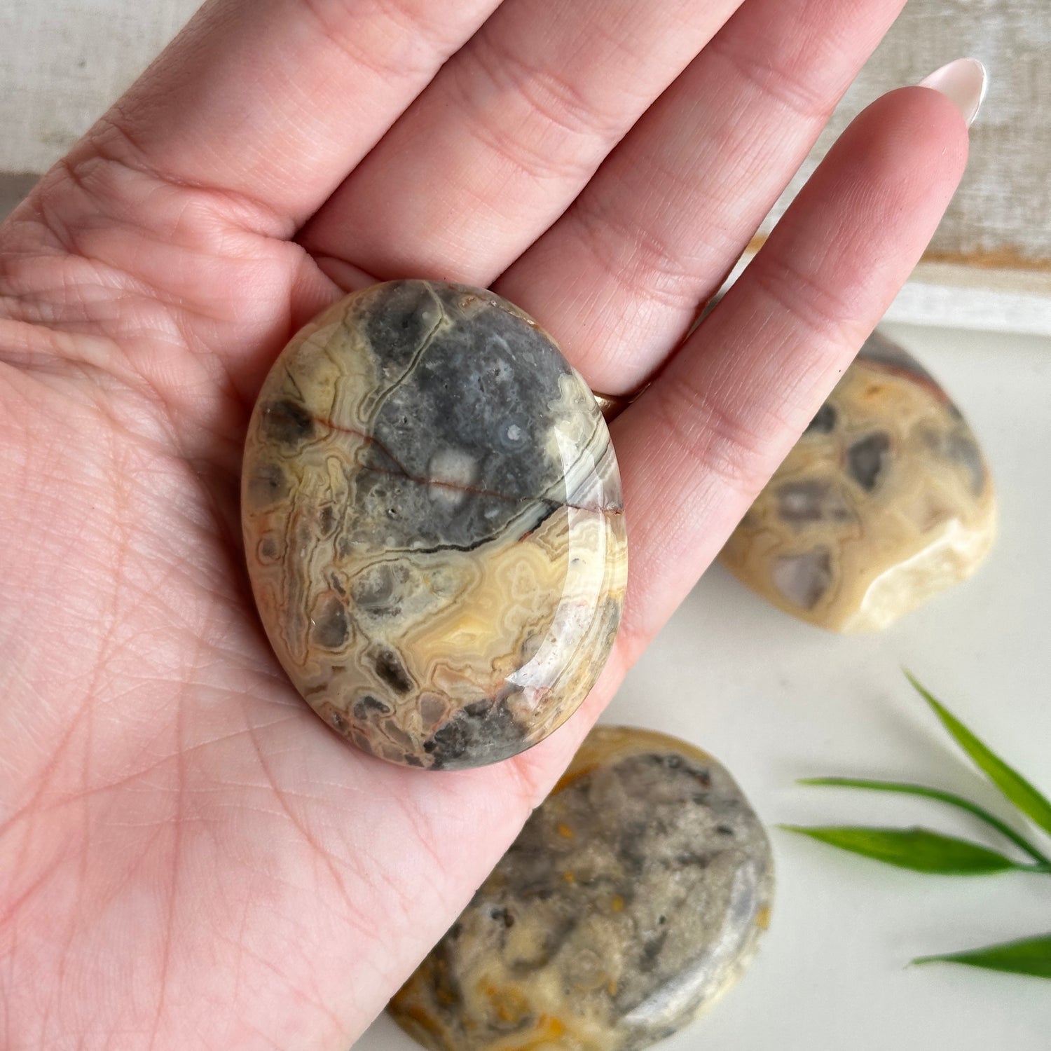Crazy Lace Agate Small Palmstone