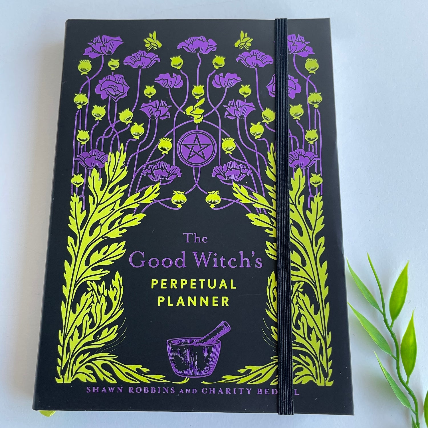 The Good Witch's Perpetual Planner Shawn Robbins