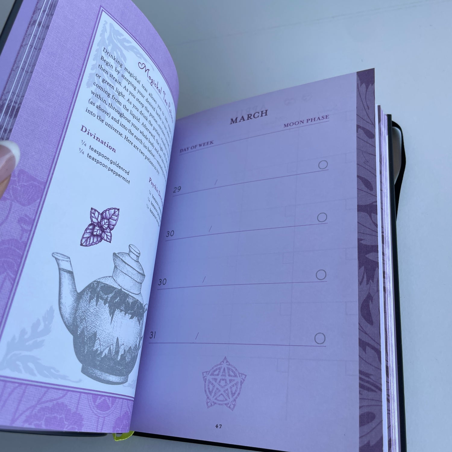The Good Witch's Perpetual Planner Shawn Robbins
