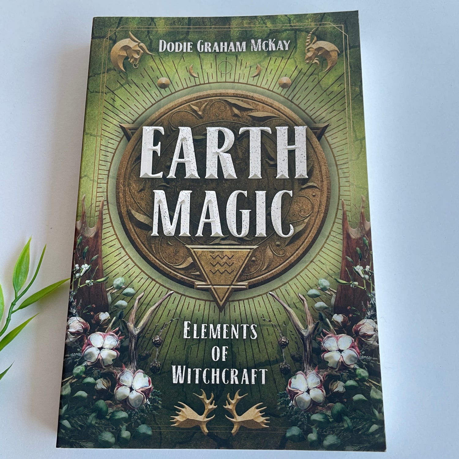Earth Magic Elements Of Witchcraft Dodie Graham McKay