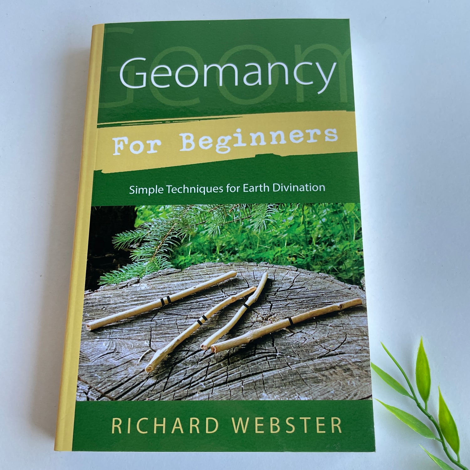 Geomancy For Beginners Richard Webster