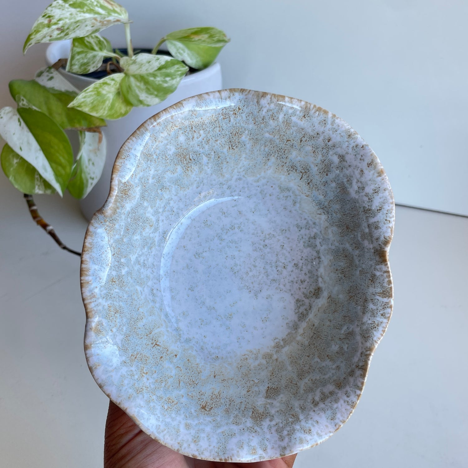 Pep Ceramic Bowl KW3529
