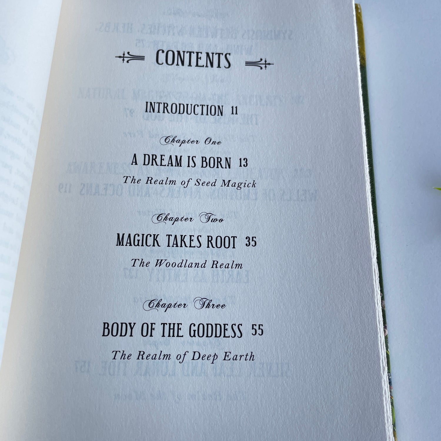 The Modern Witchcraft Book Of Natural Magick Judy Nock