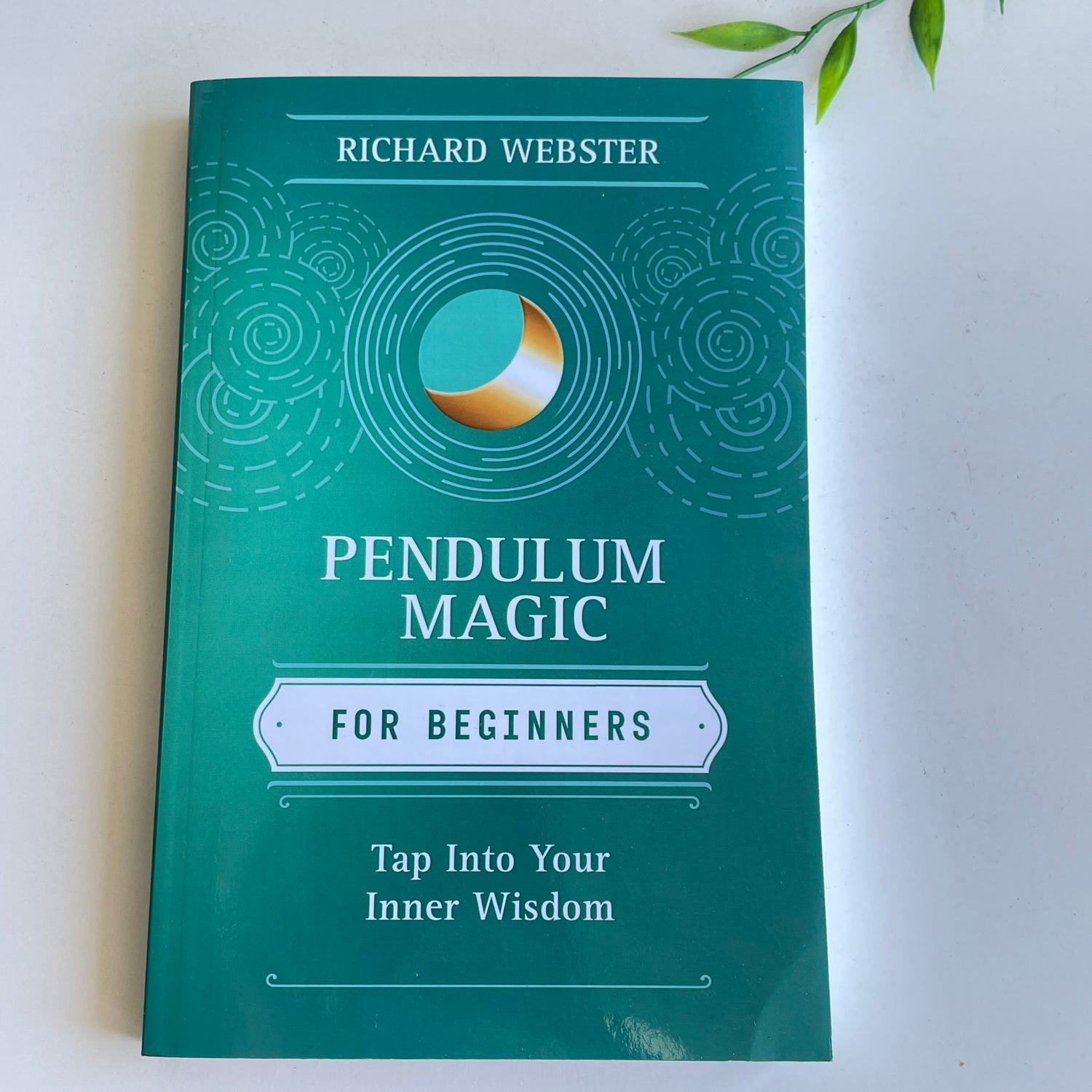 Pendulum Magic for Beginners Richard Webster