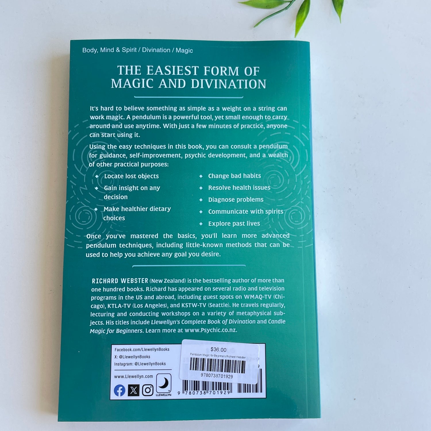 Pendulum Magic for Beginners Richard Webster