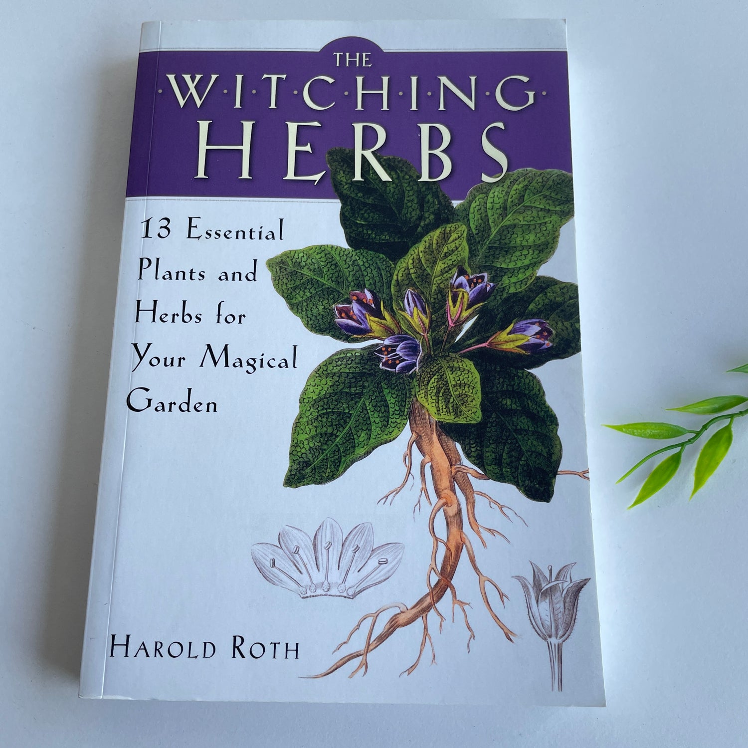 Witching Herbs Harold Roth