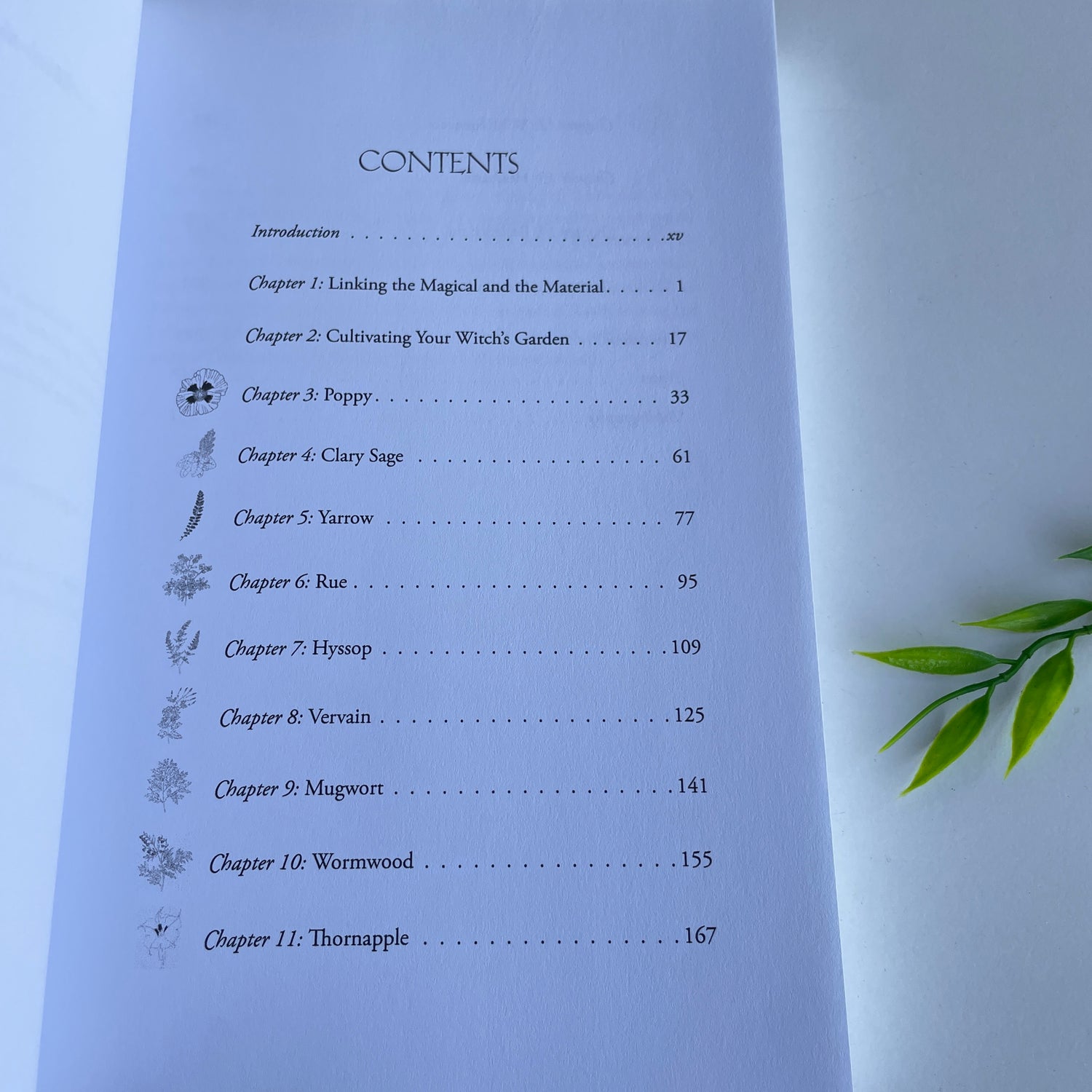 Witching Herbs Harold Roth
