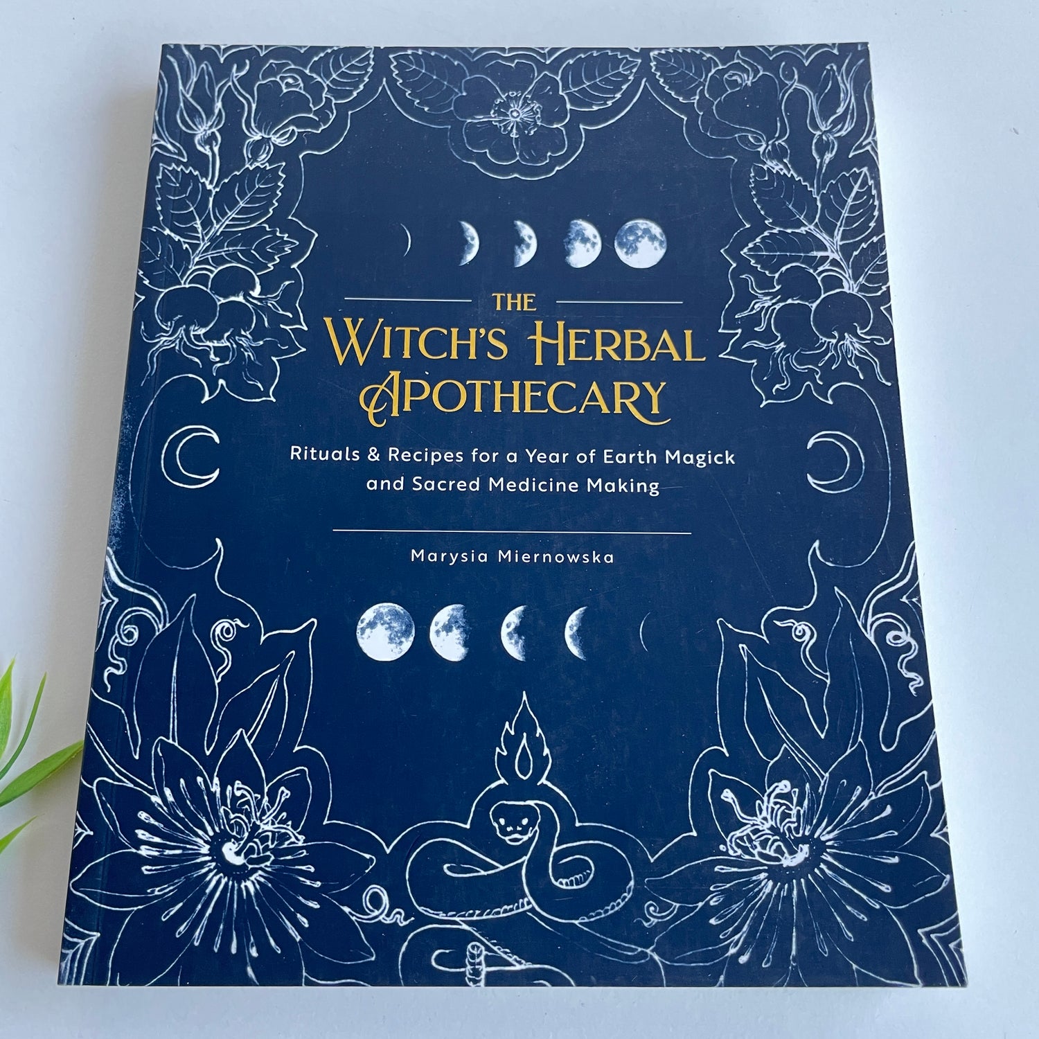 The Witch's Herbal Apothecary Marysia Miernowska