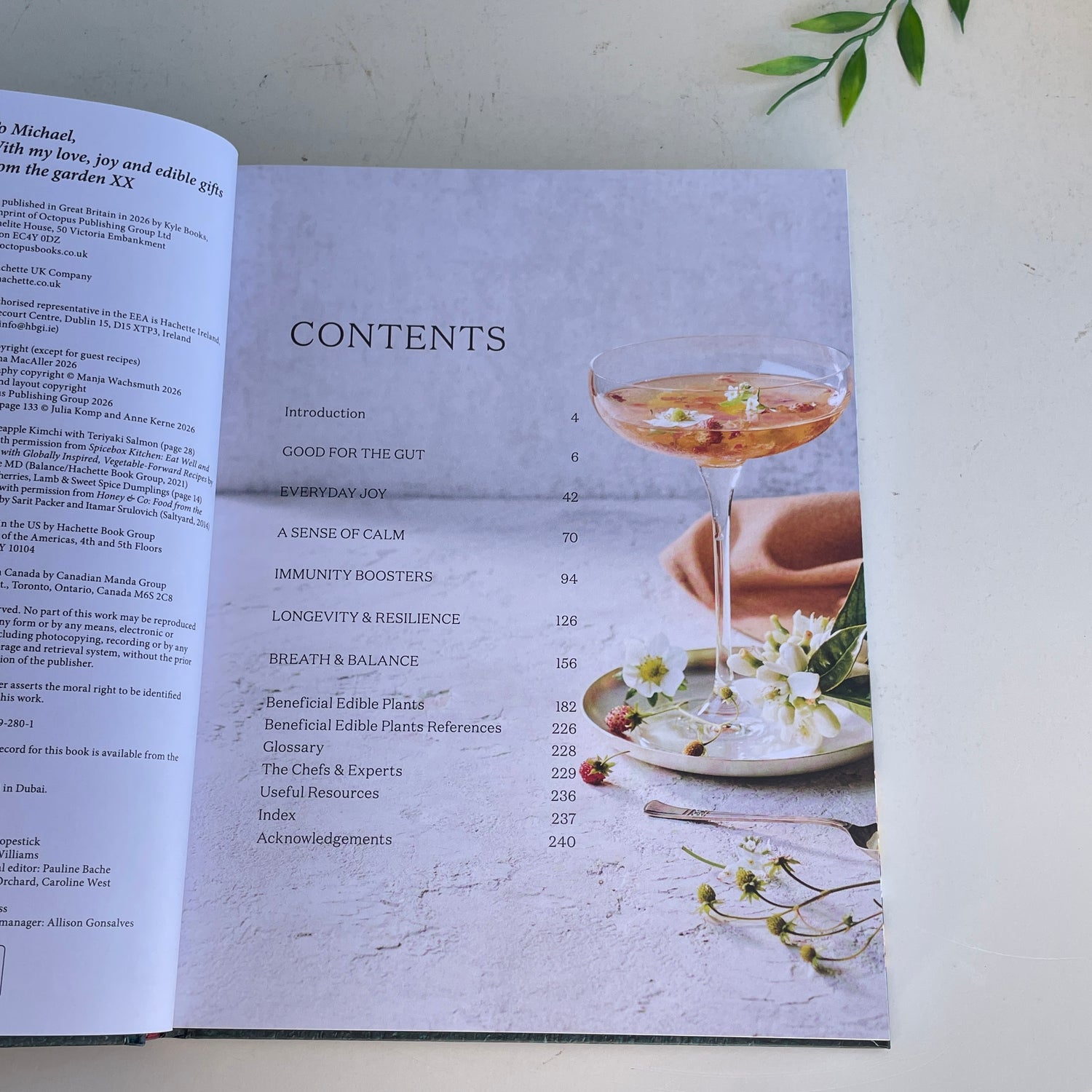 The Apothecary Chef Natasha Macaller