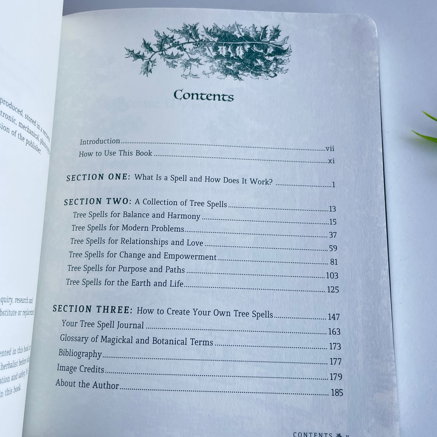 The Book Of Tree Spells Cheralyn Darcey