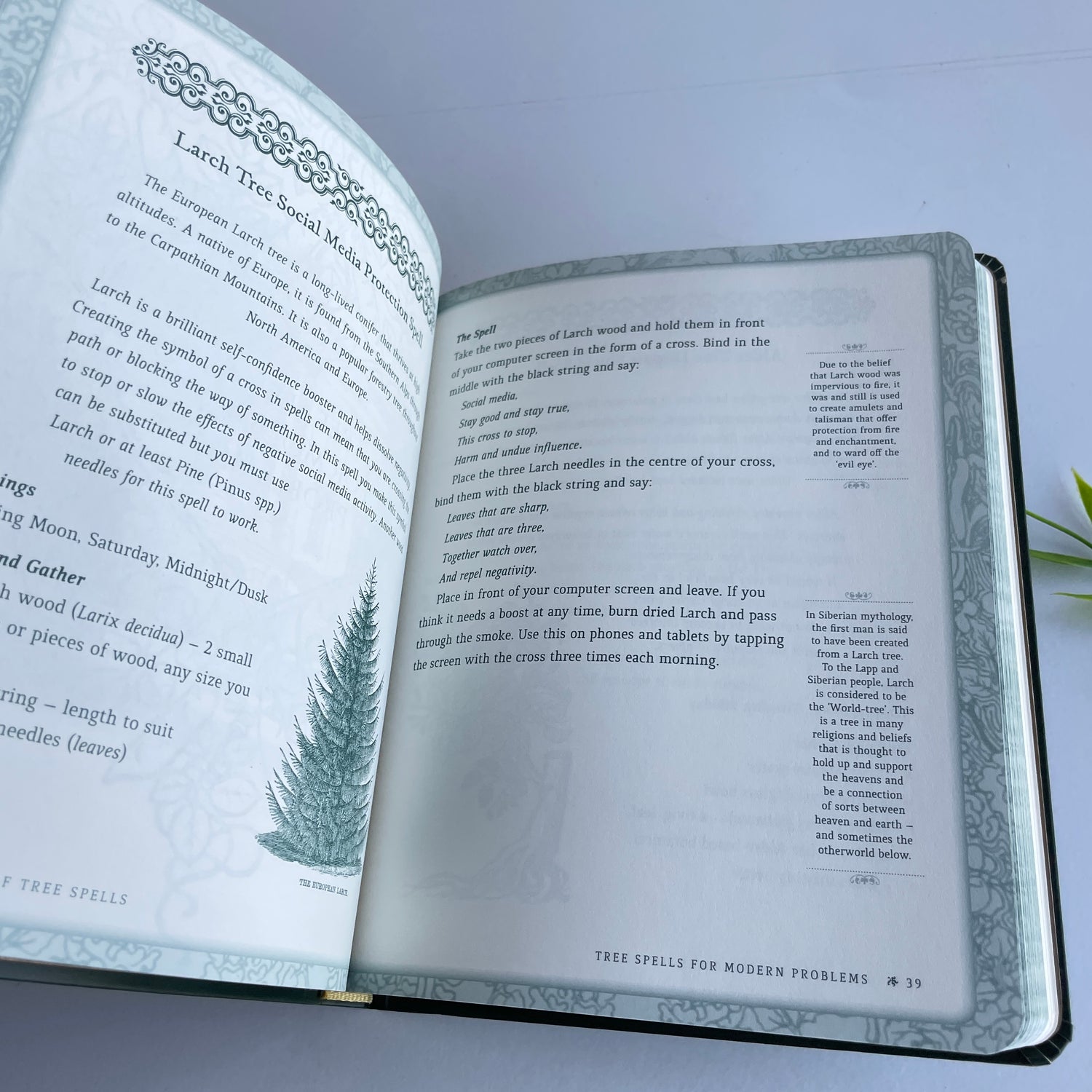The Book Of Tree Spells Cheralyn Darcey