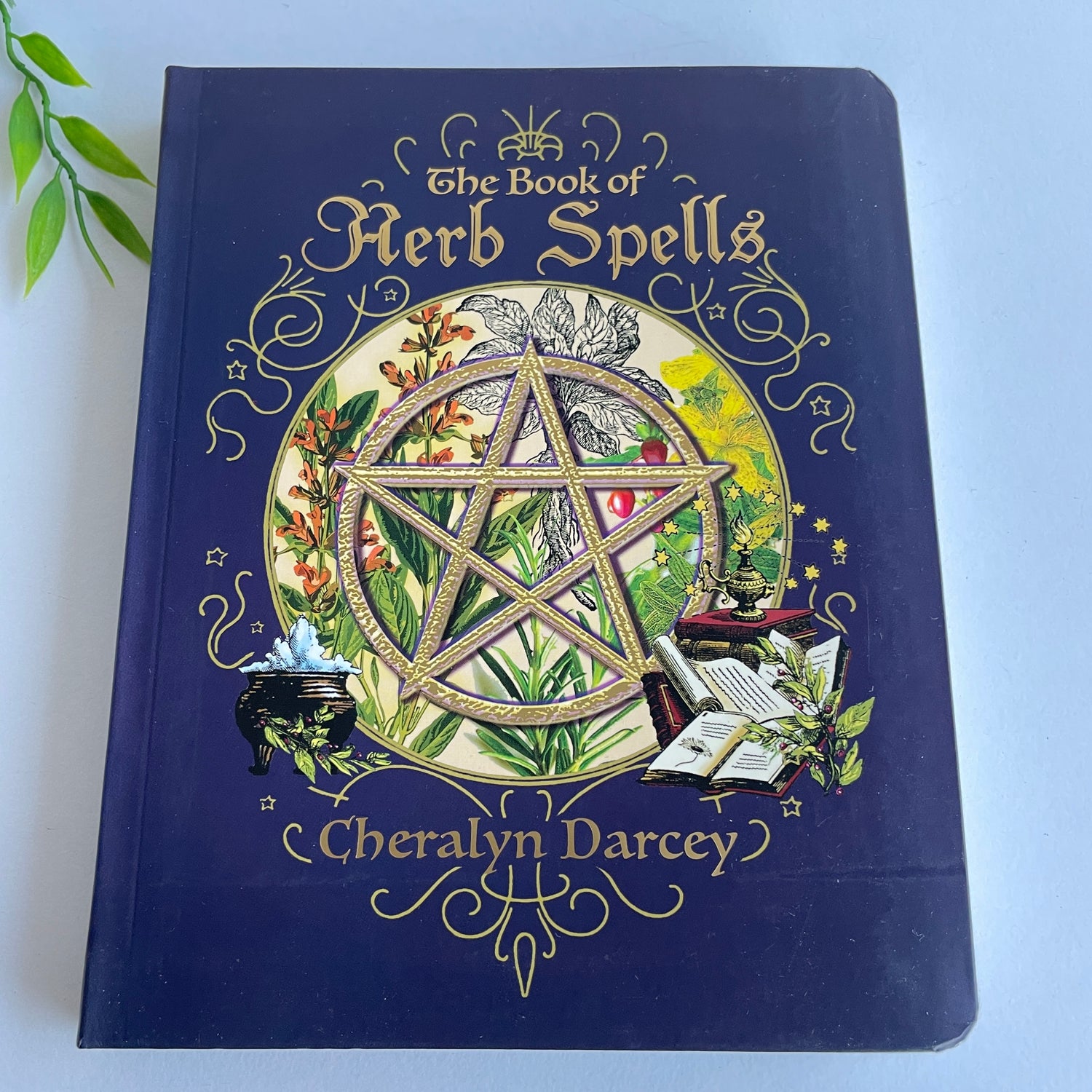 The Book Of Herb Spells Cheralyn Darcey