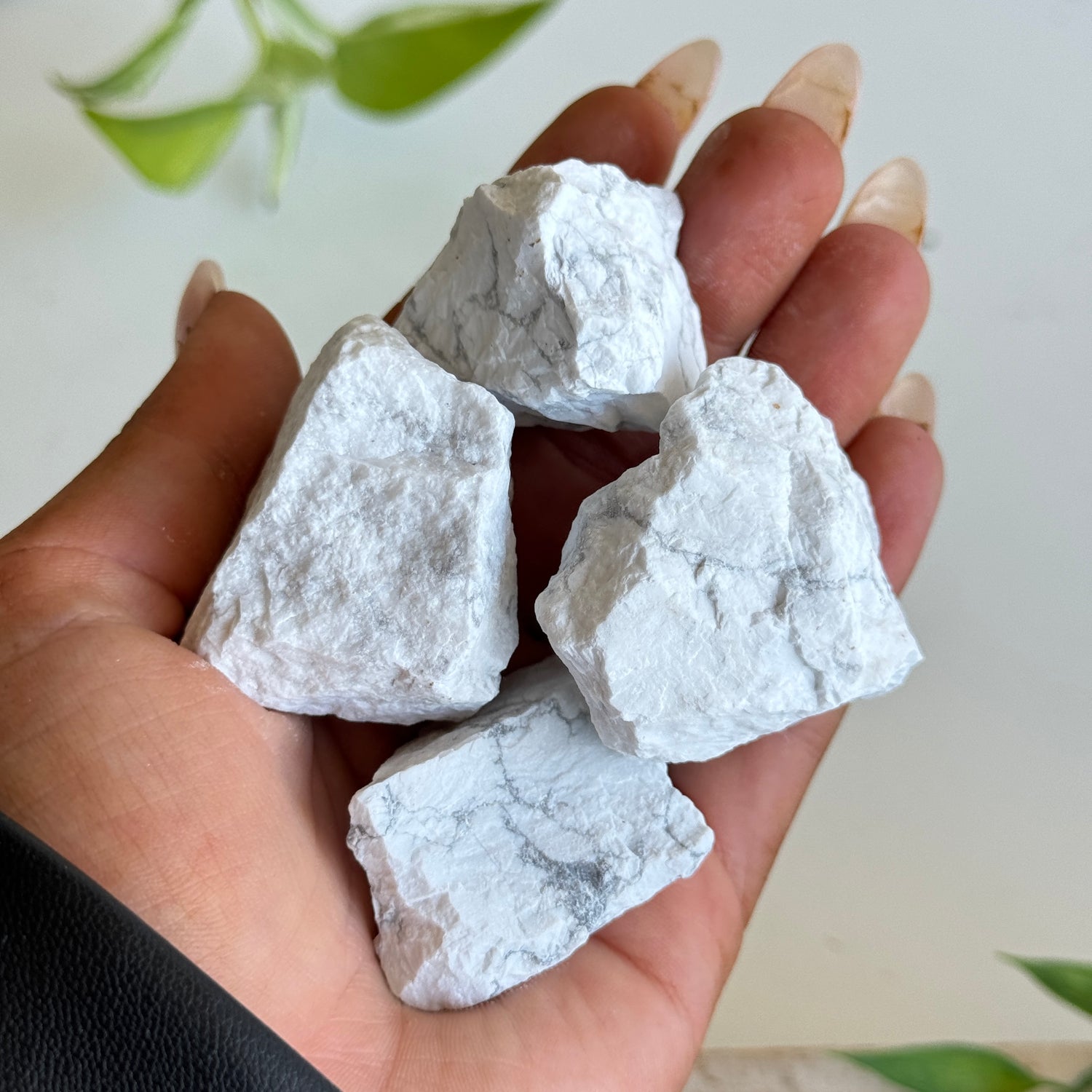 Howlite Chunks