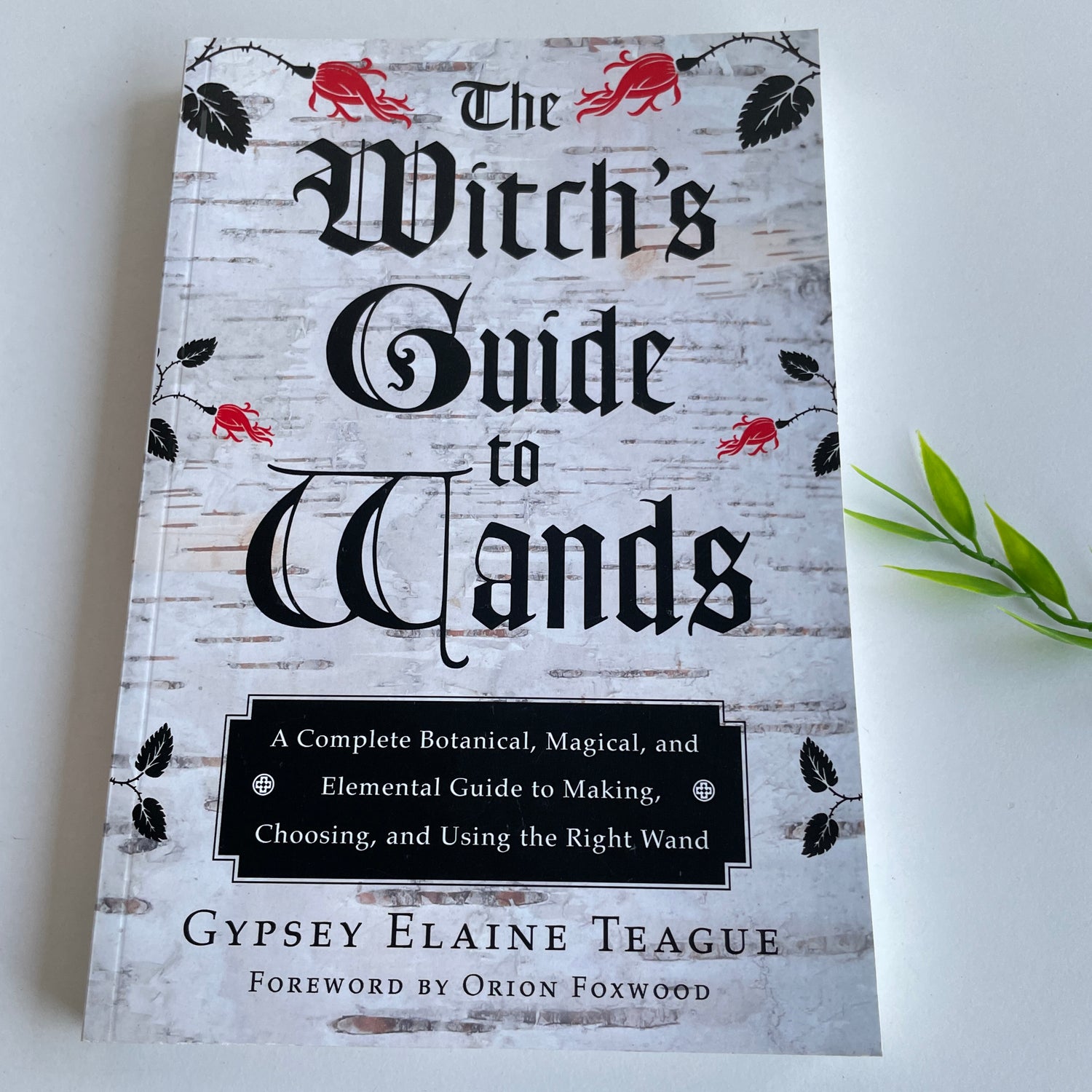 The Witch's Guide To Wands Gypsey Teague