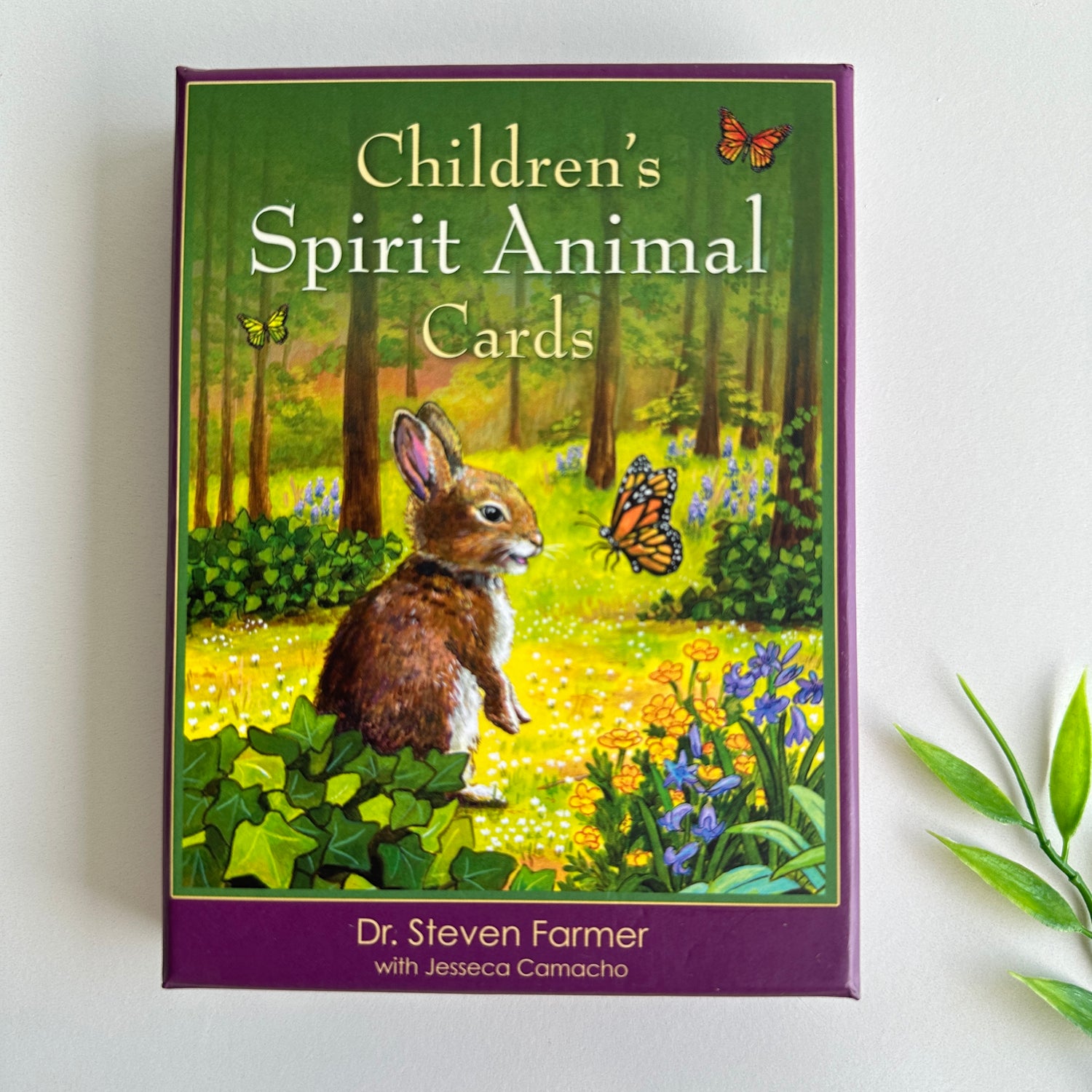 Children Spirit Animal Cards Dr Steven Farmer