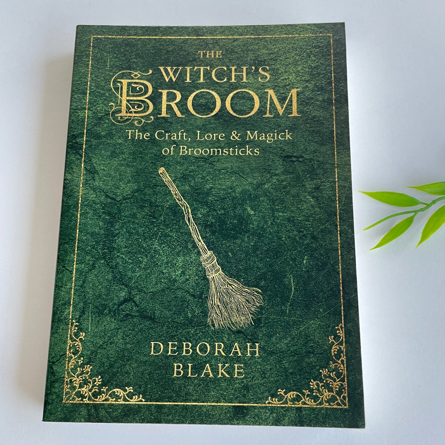 D Blake The Witch's Broom