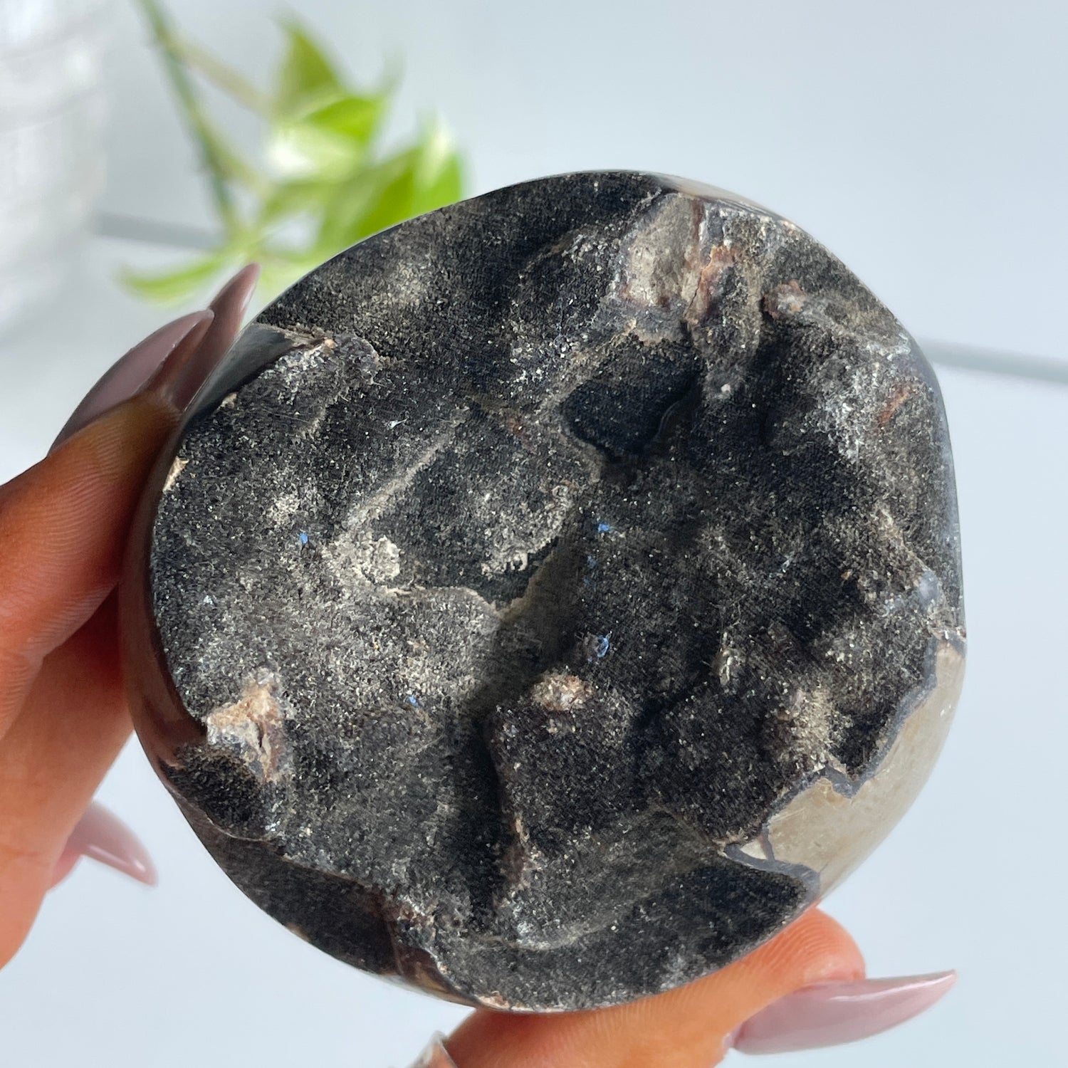 Septarian Egg 7cm