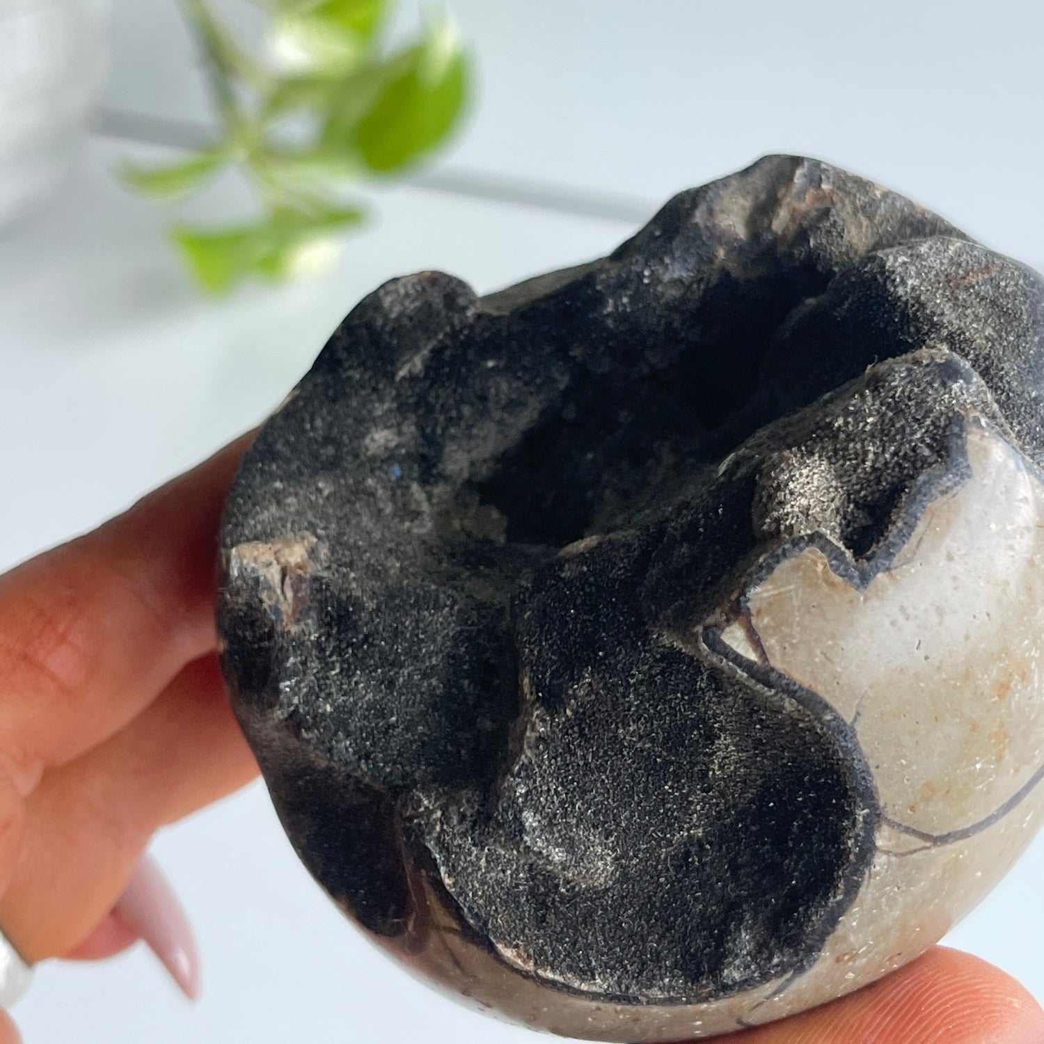 Septarian Egg 7cm