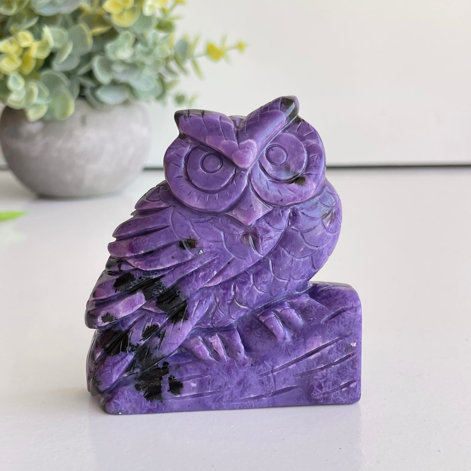 Charoite Owl 7.6cm