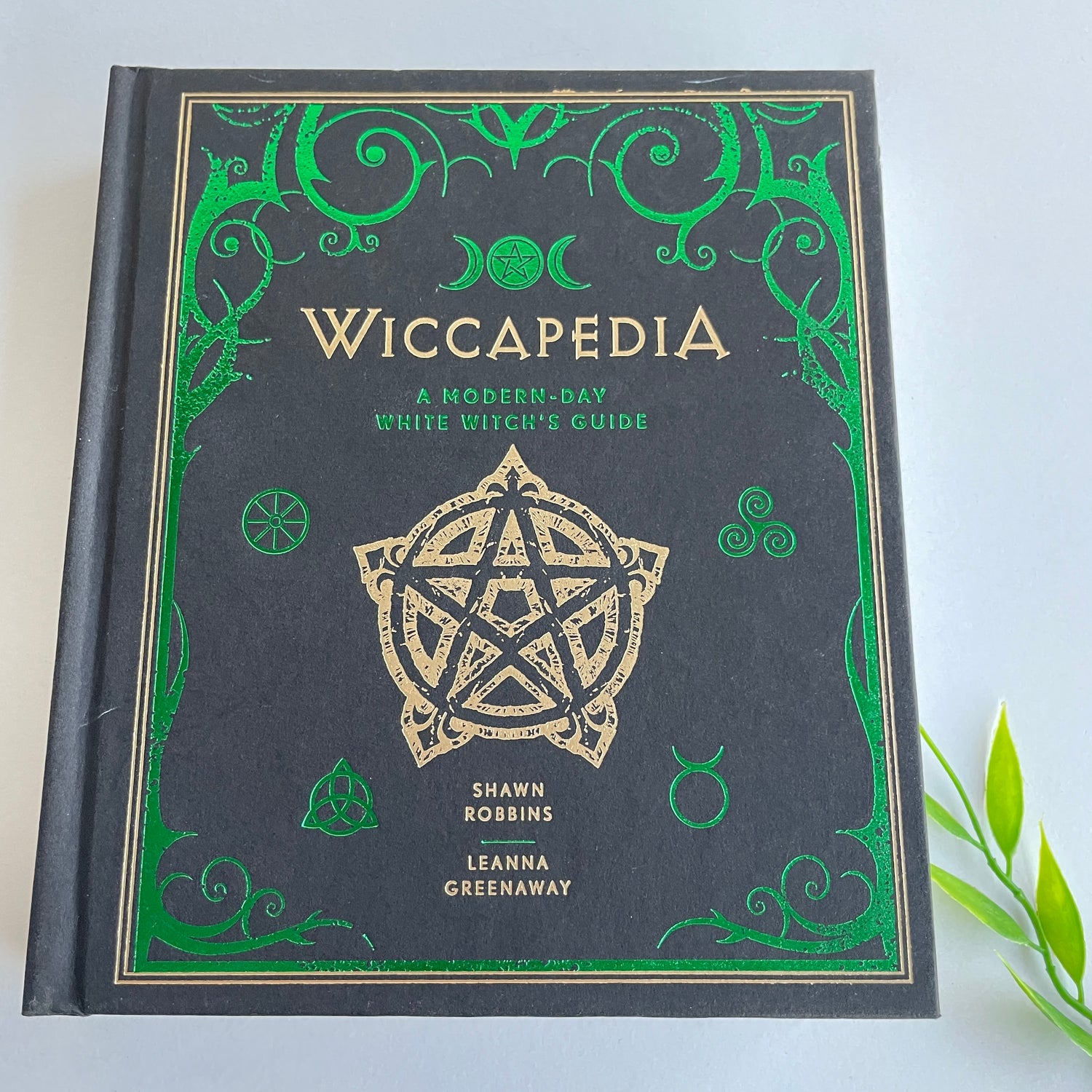 Wiccapedia Modern Day White Witchs Guide Shawn Robbins