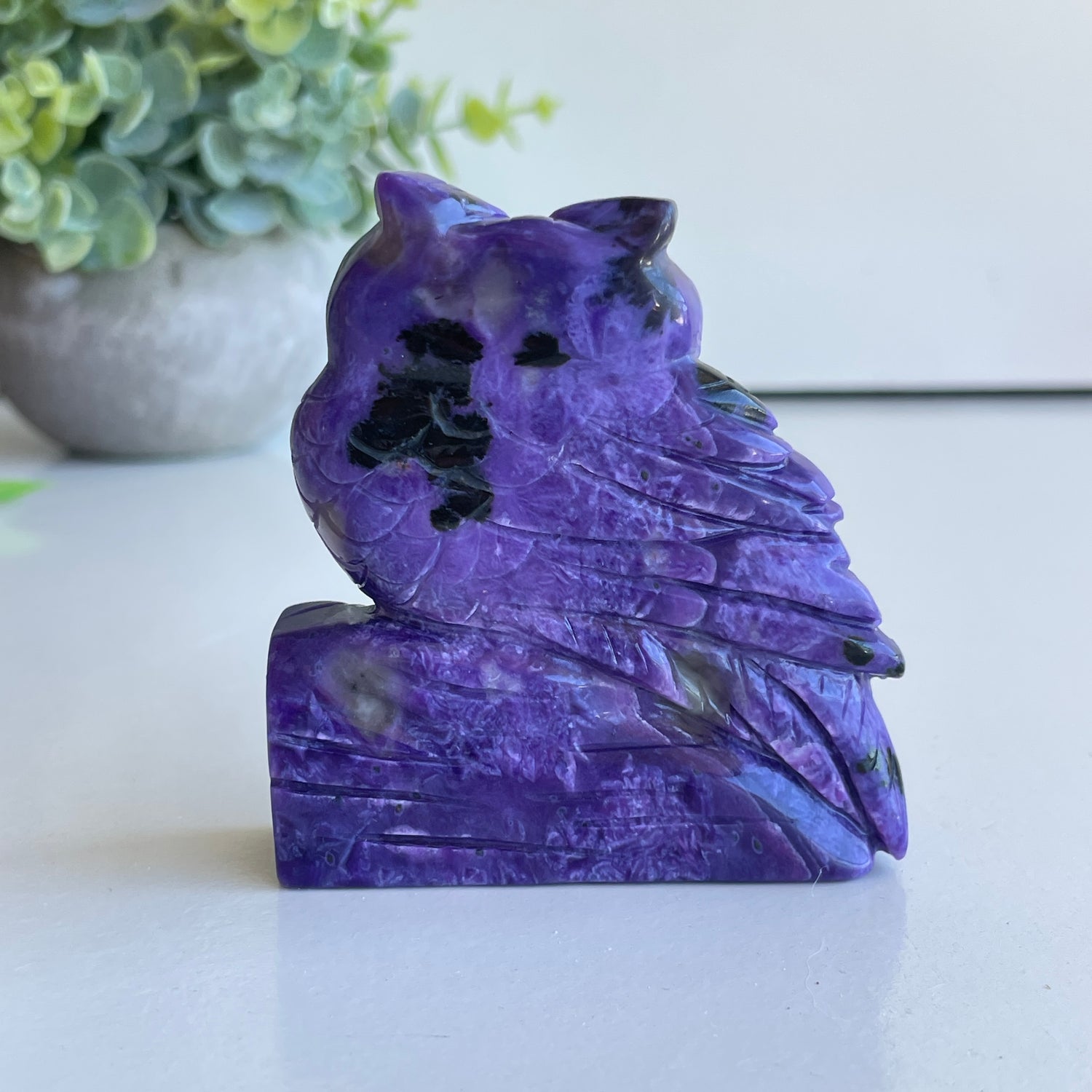 Charoite Owl 7.6cm