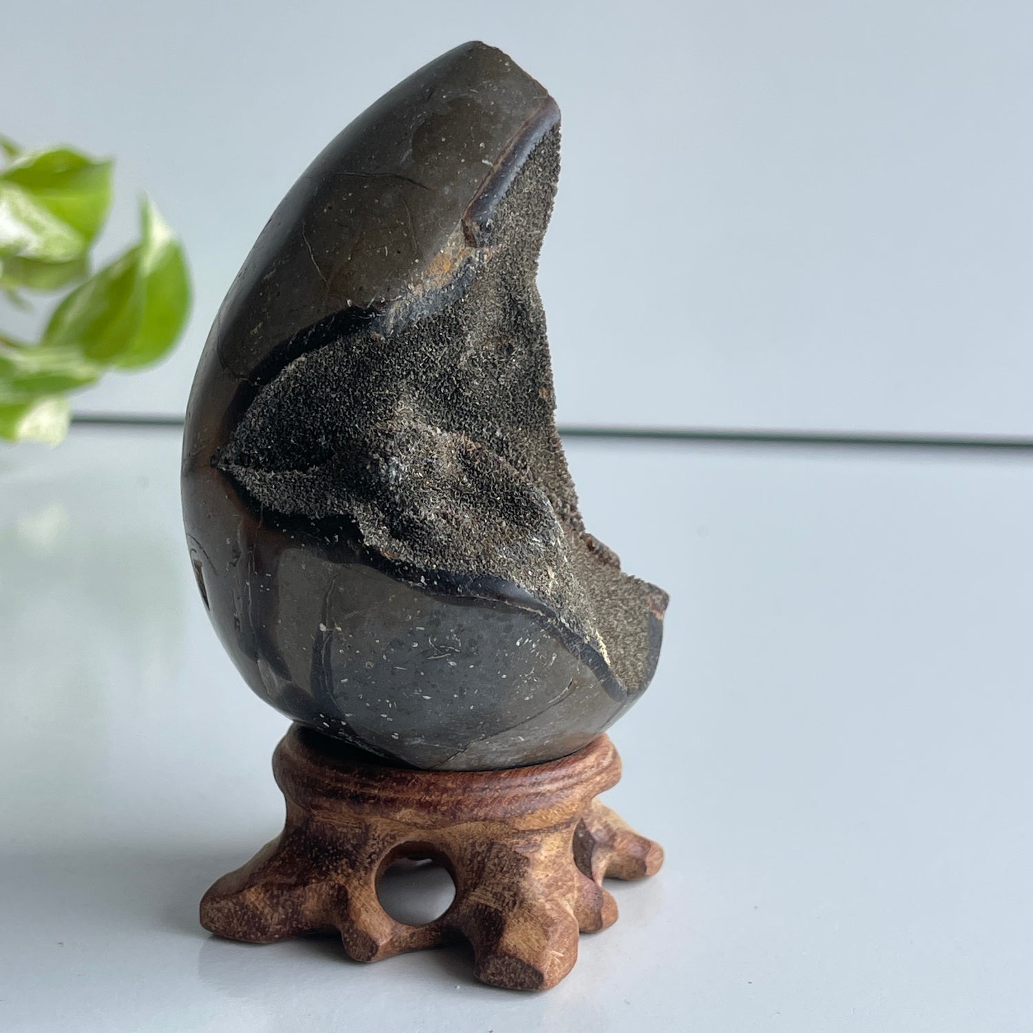 Septarian Egg 8.9cm