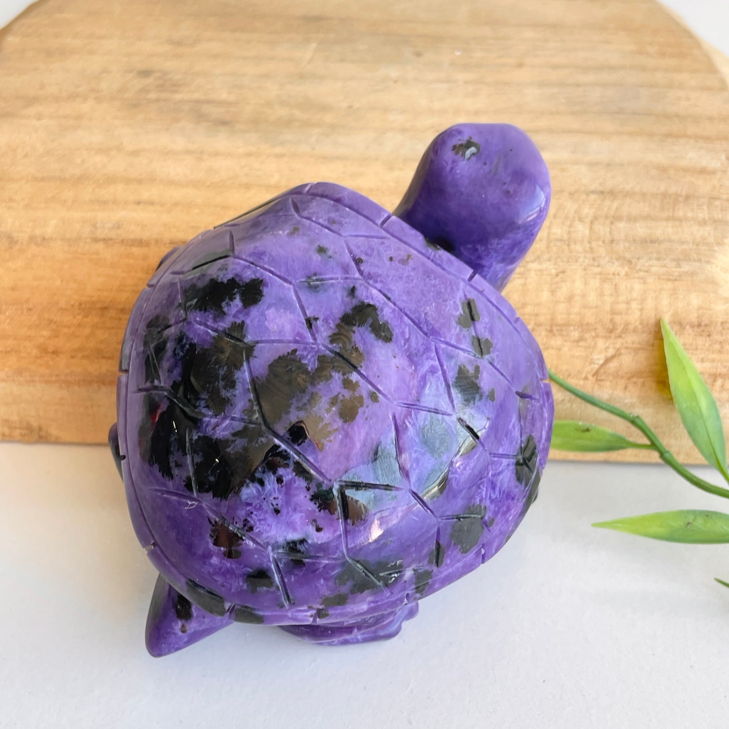 Charoite Turtle 9.7cm