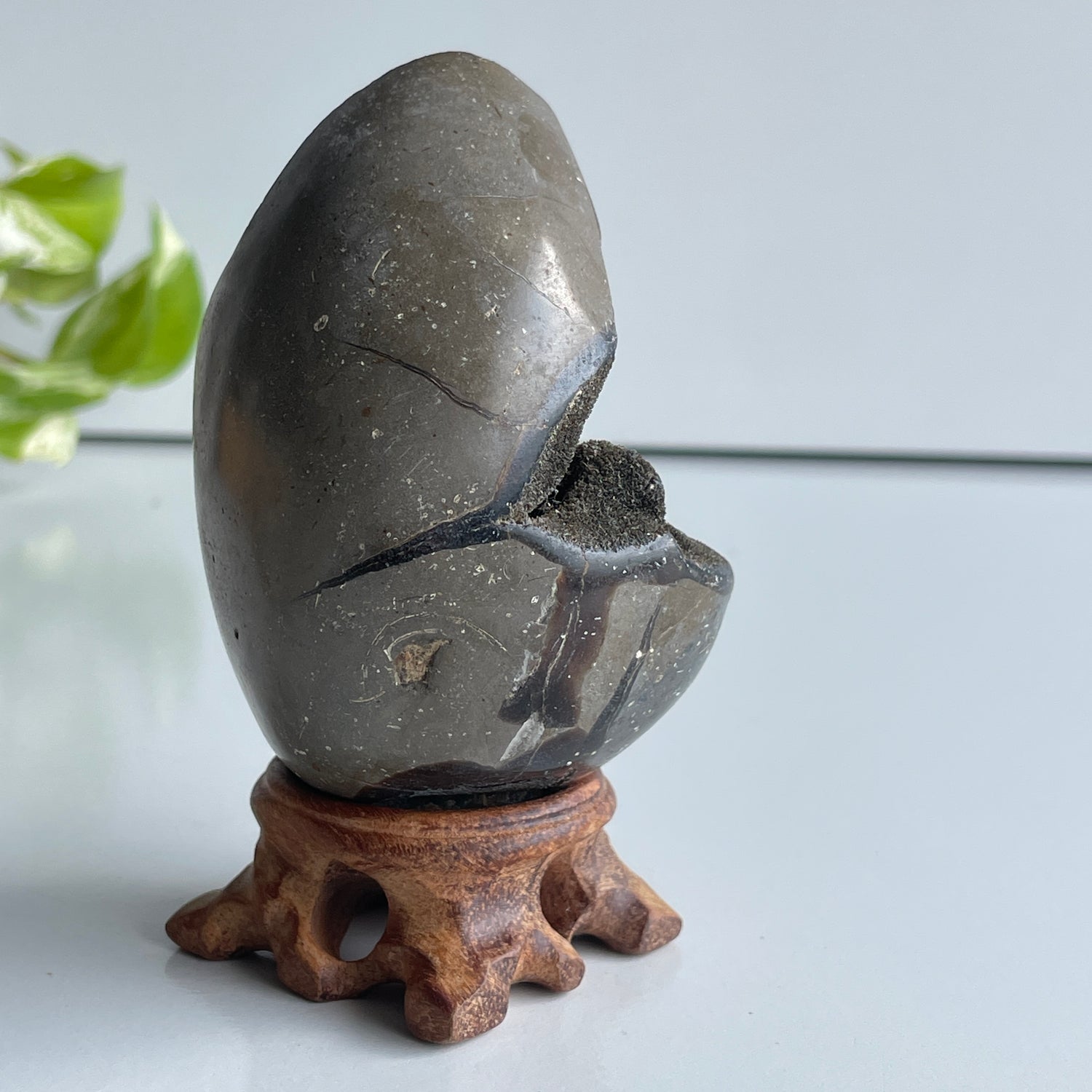 Septarian Egg 8.9cm