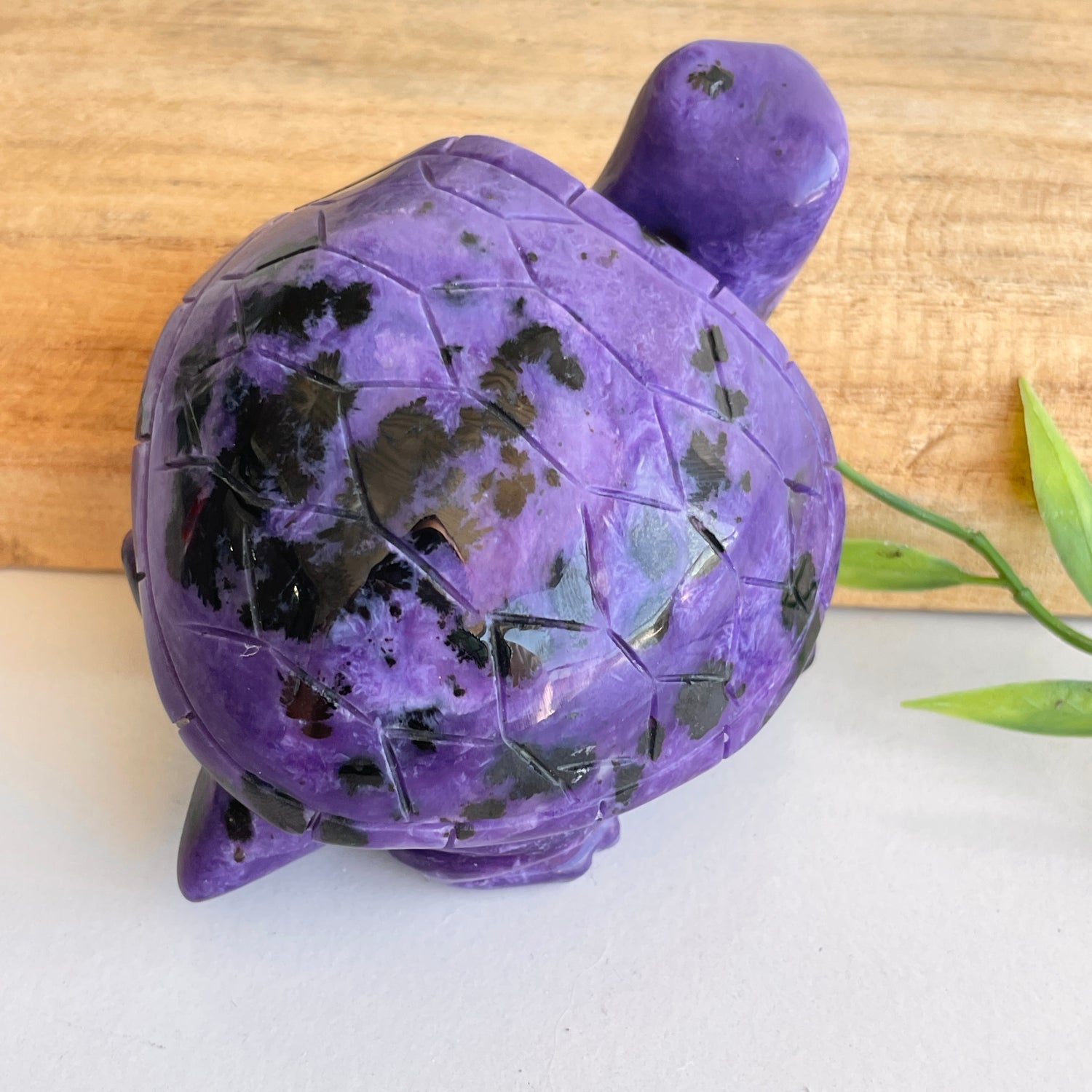 Charoite Turtle 9.7cm