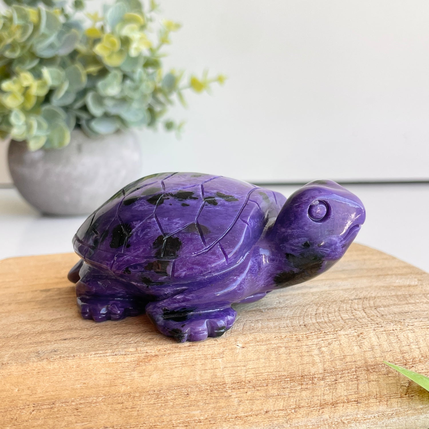 Charoite Turtle 9.7cm