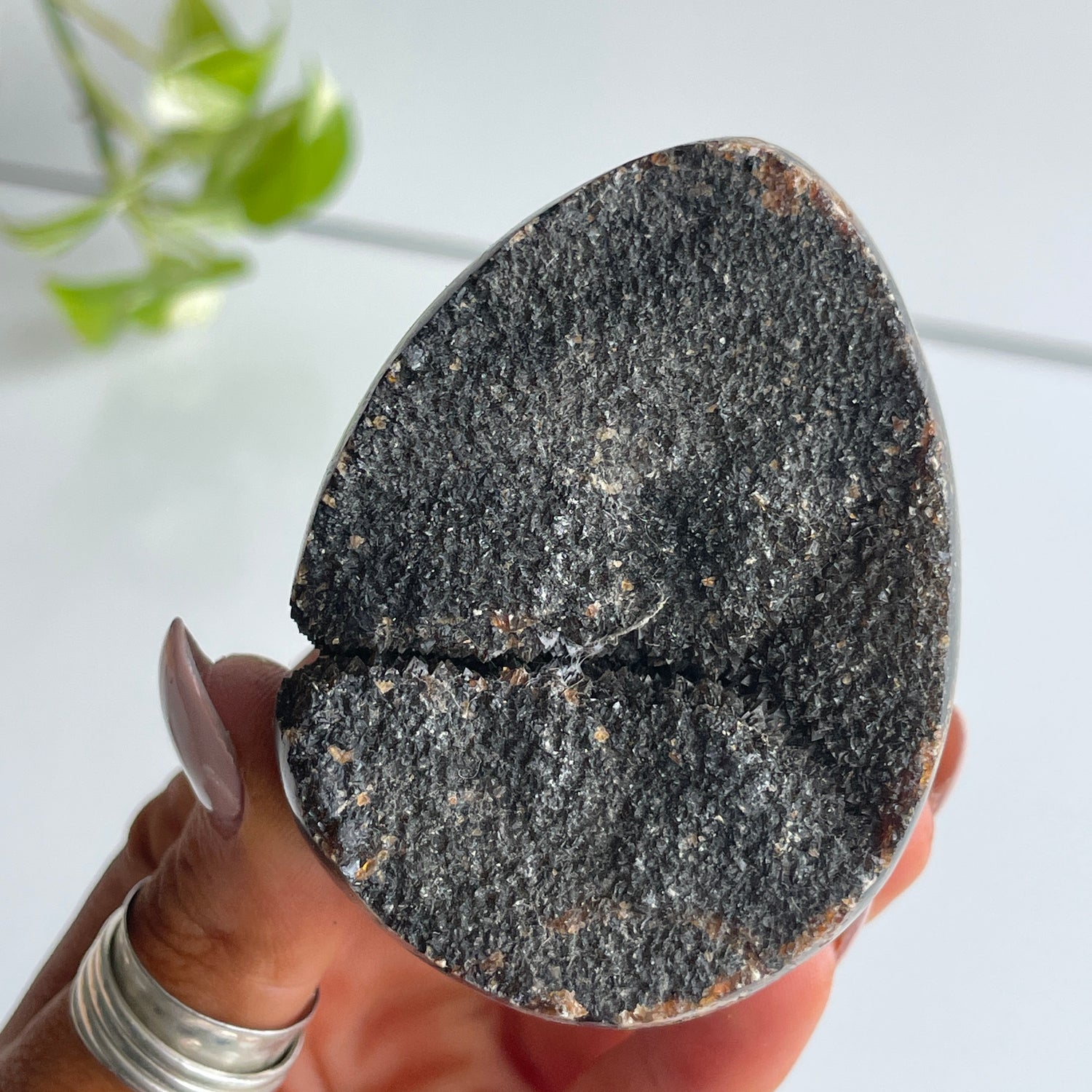 Septarian Egg 7.3cm