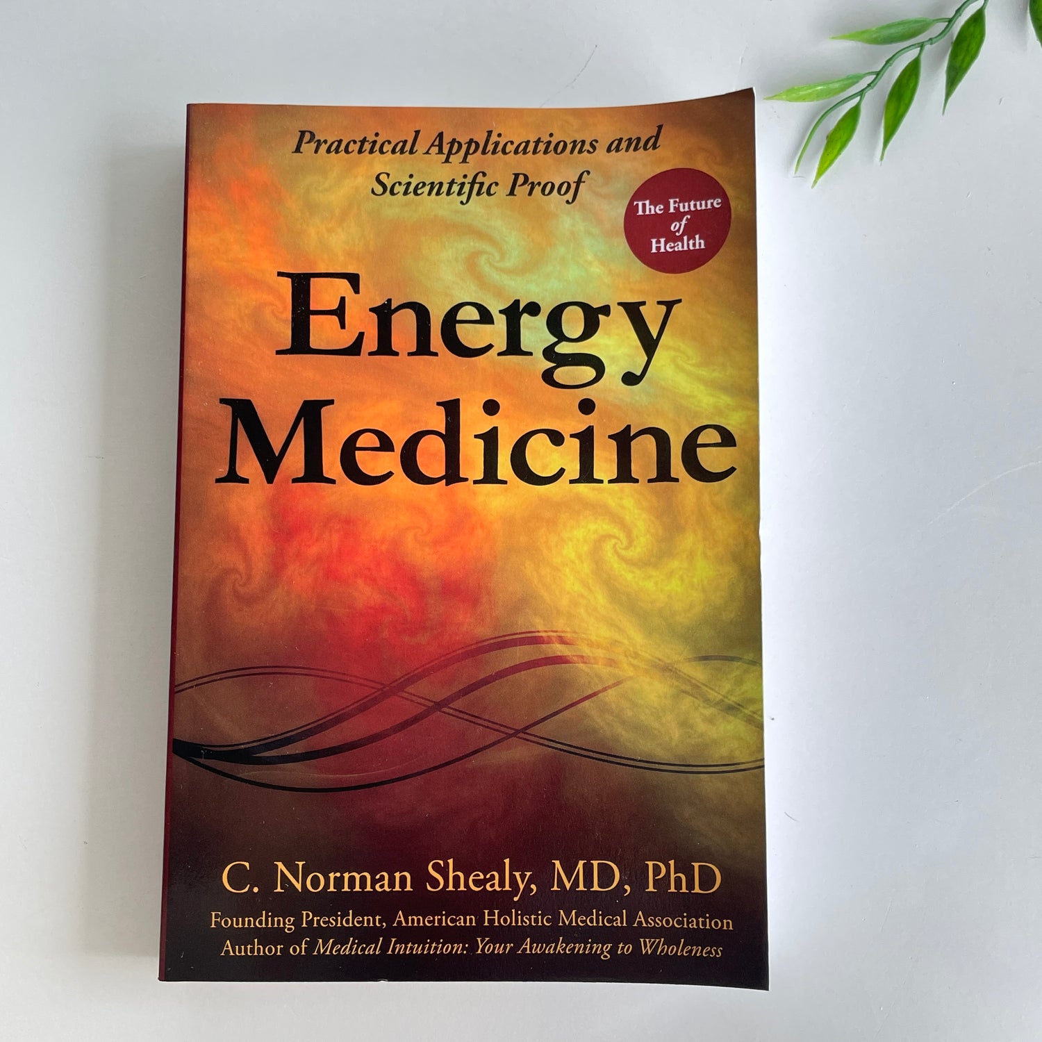 Energy Medicine C Norman Shealy