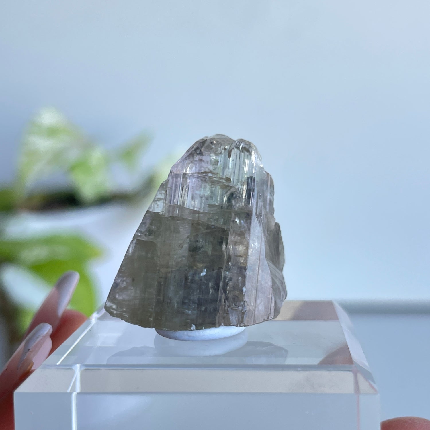 Tanzanite Raw Pc