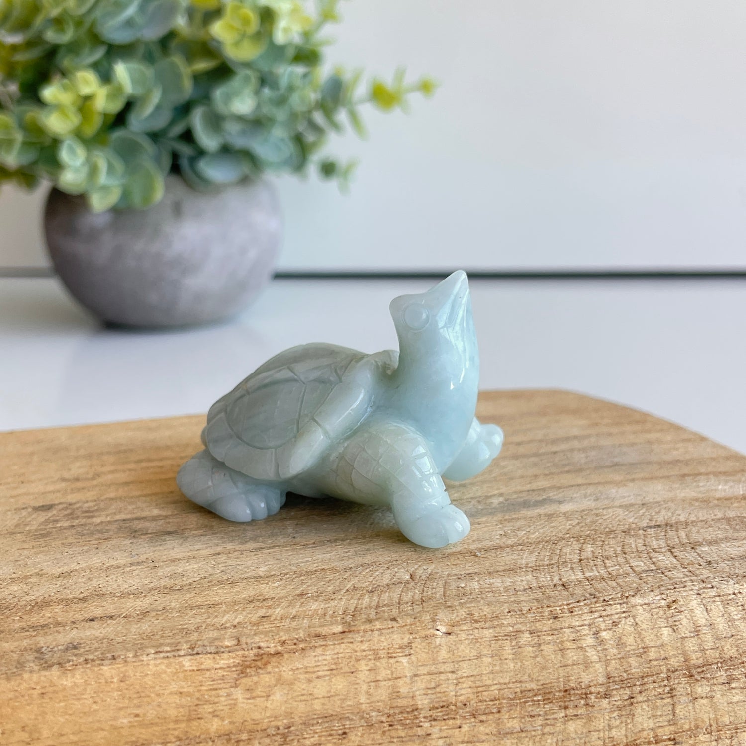 Aquamarine Turtle 5.2cm