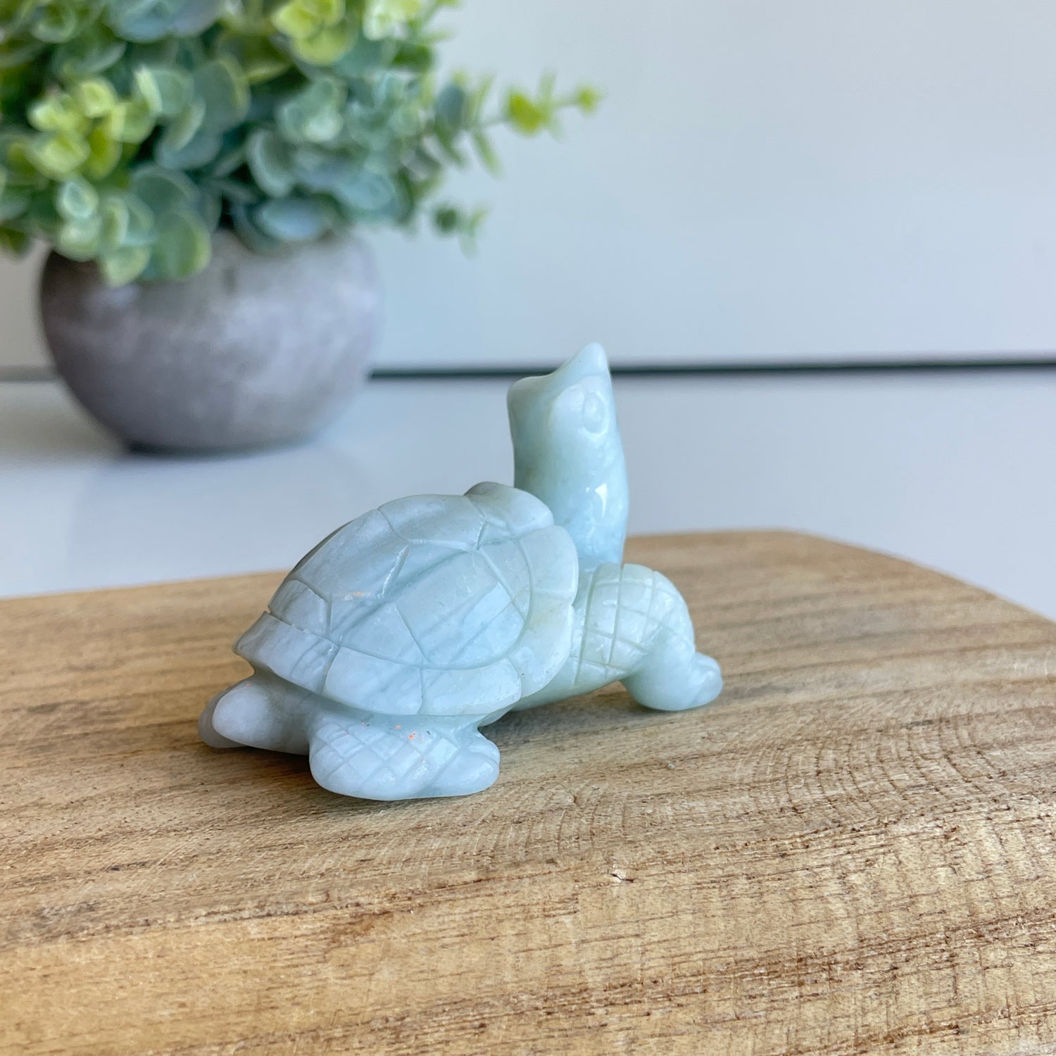 Aquamarine Turtle 5.2cm