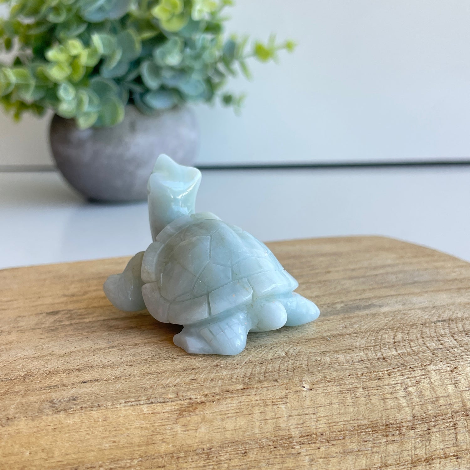 Aquamarine Turtle 5.2cm