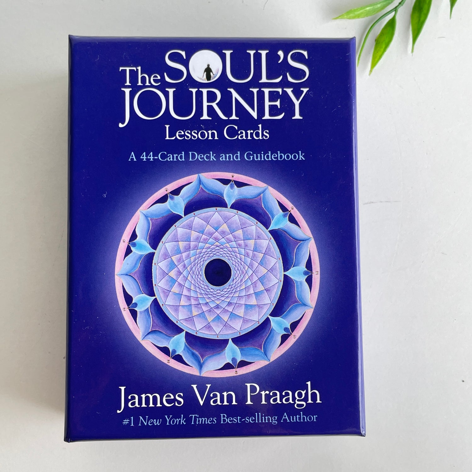 The Souls Journey Lesson Cards James Van Praagh
