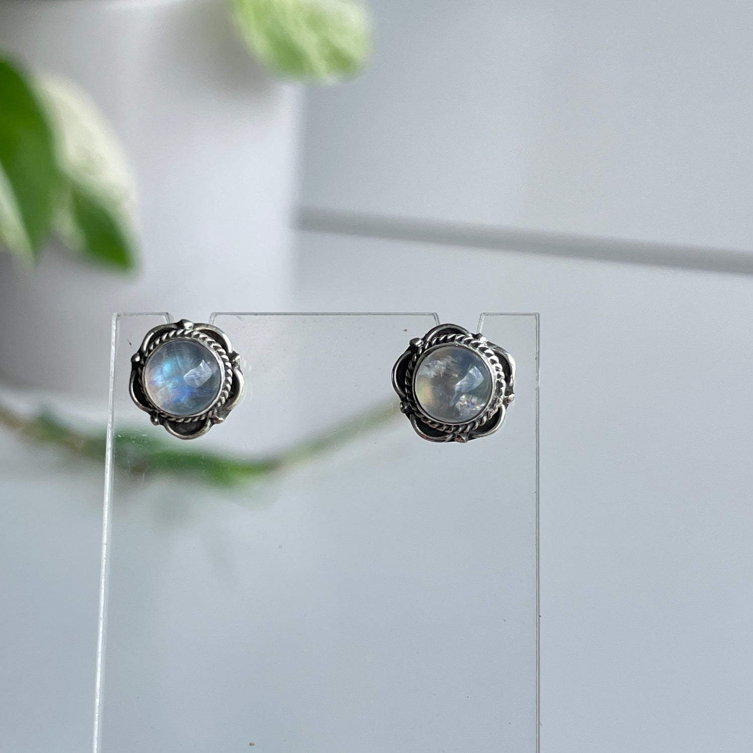 Moonstone Round Studs 001