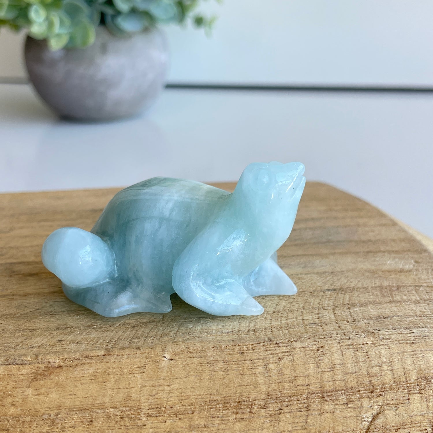 Aquamarine Frog 5.1cm