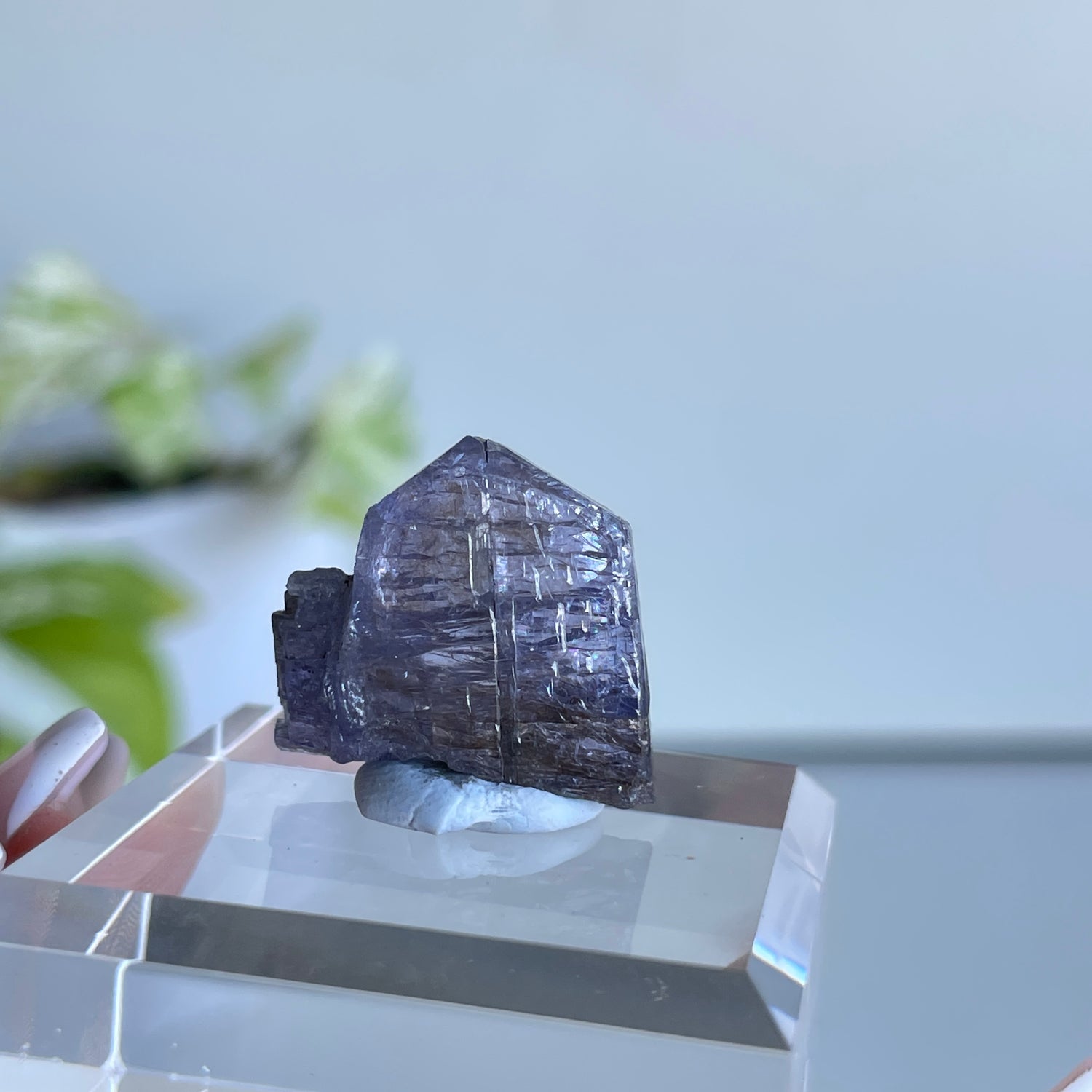 Tanzanite Raw Pc