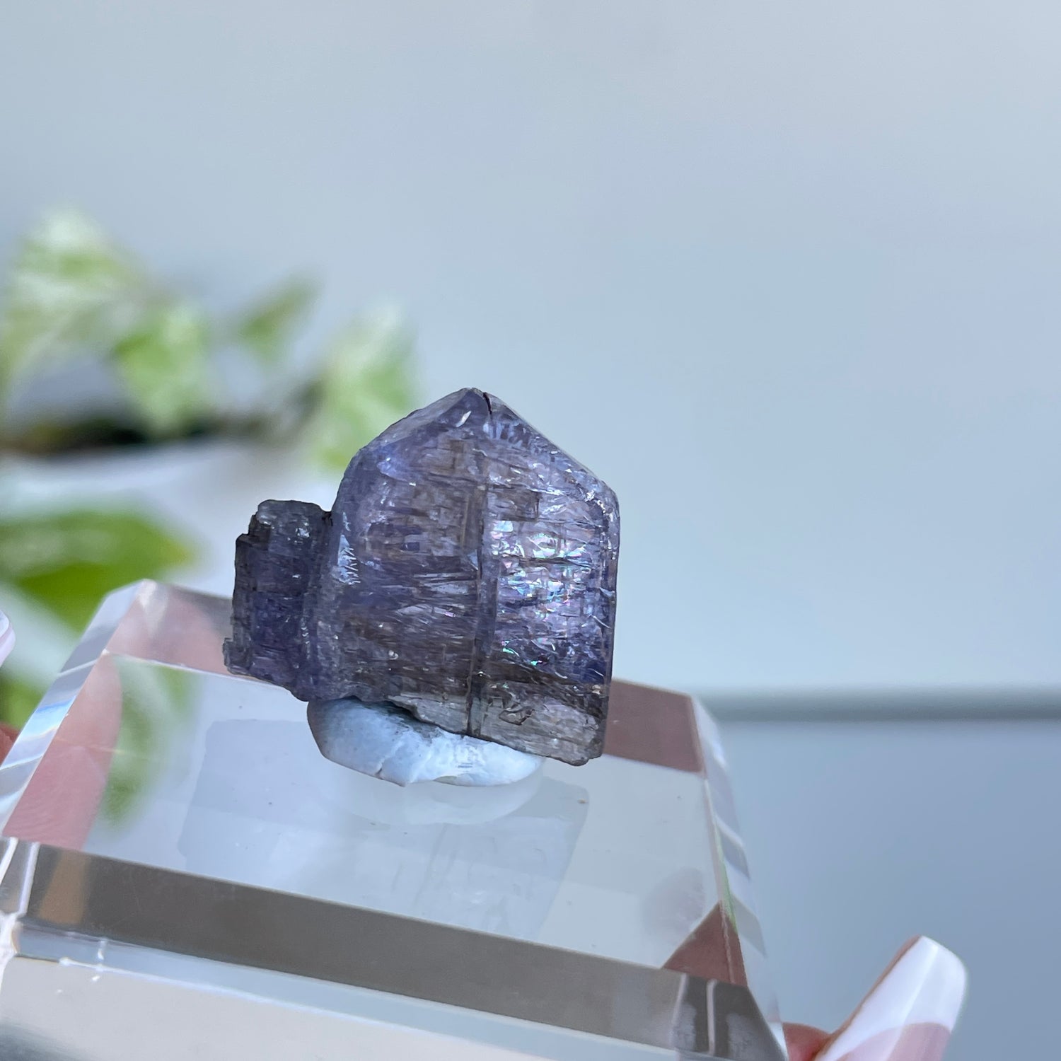 Tanzanite Raw Pc