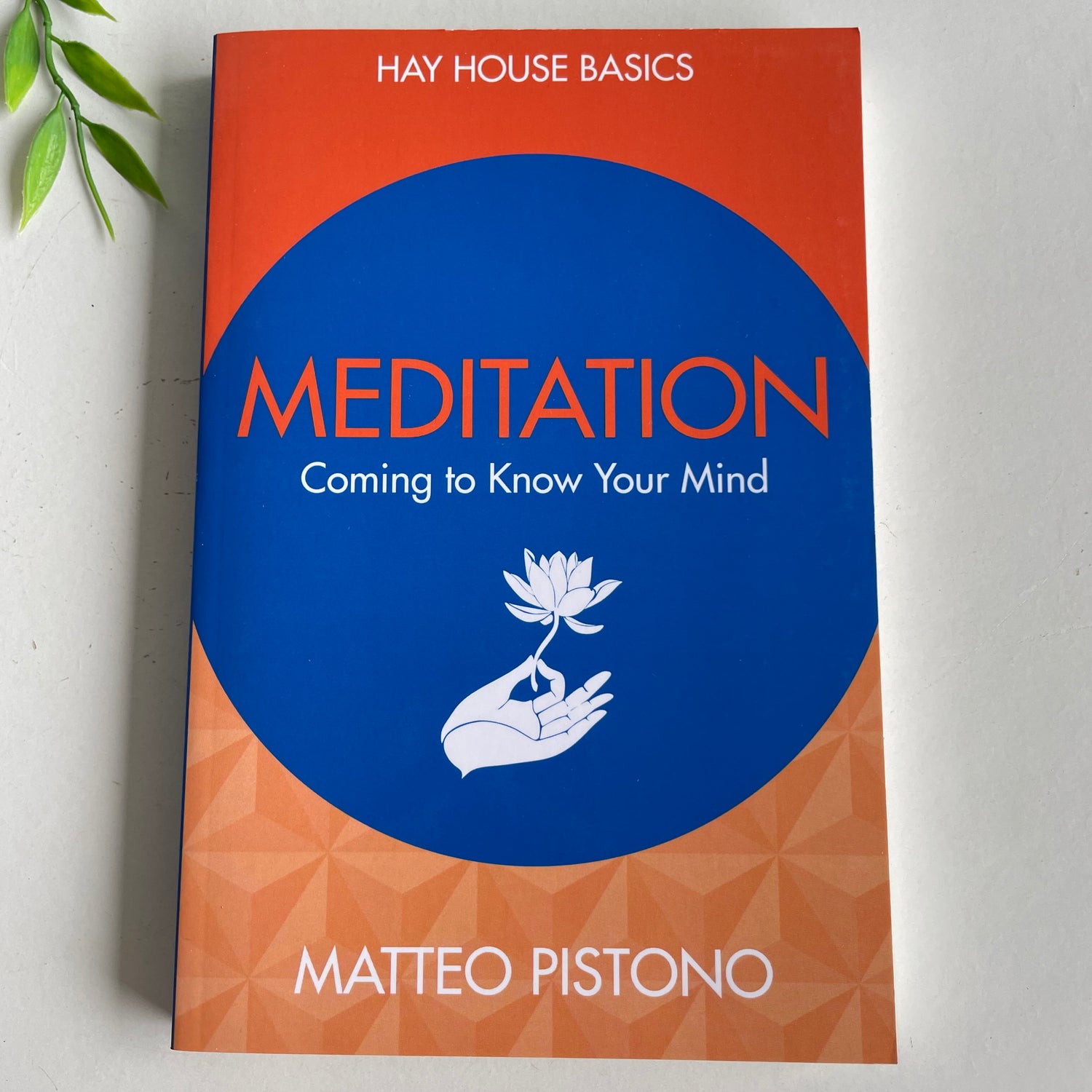 Hay House Basics Meditation Matteo Pistono