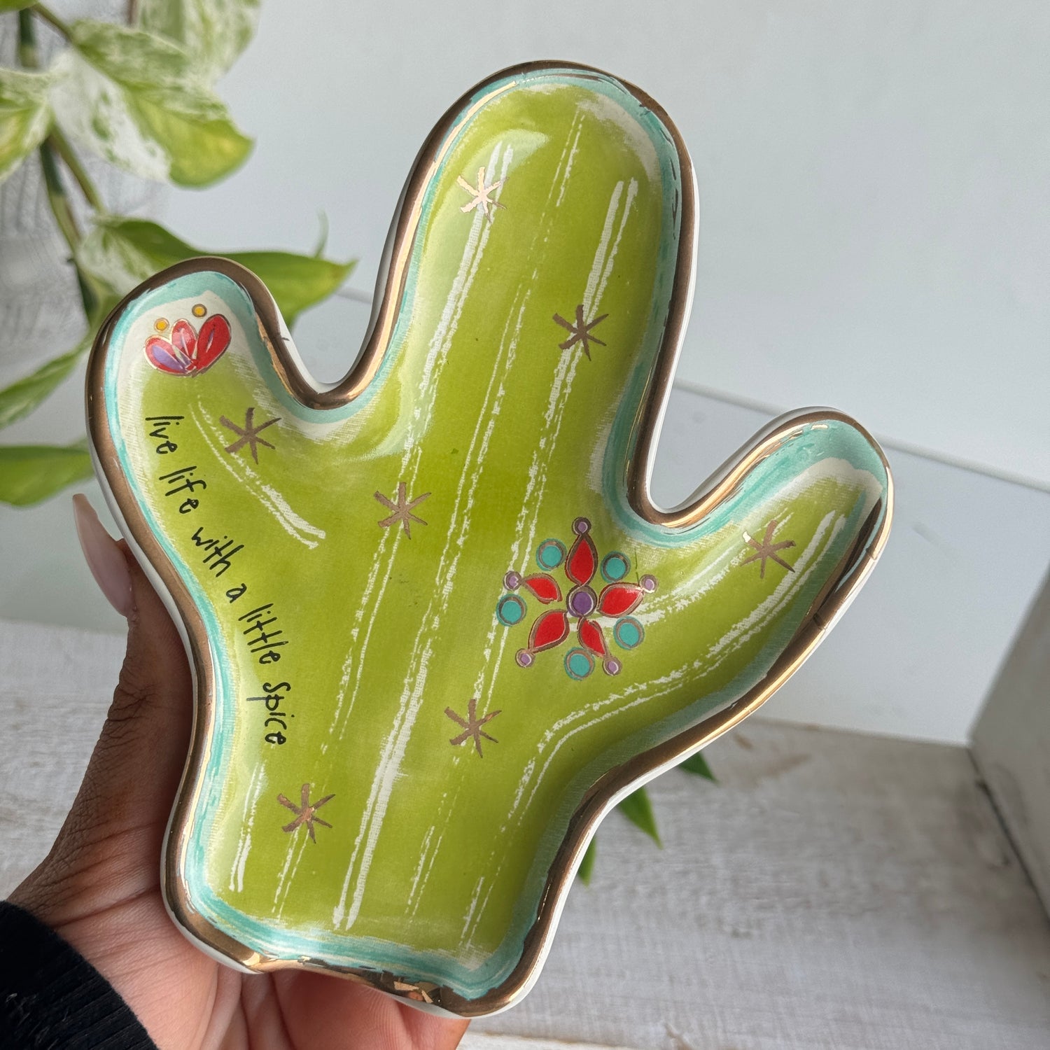 Cactus Live Life With A Little Spice Dish SPN016