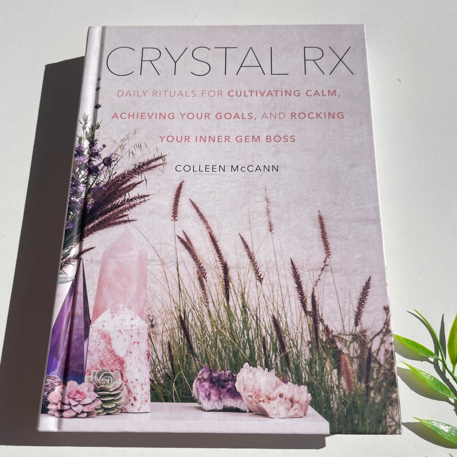 Crystal RX Colleen McCann